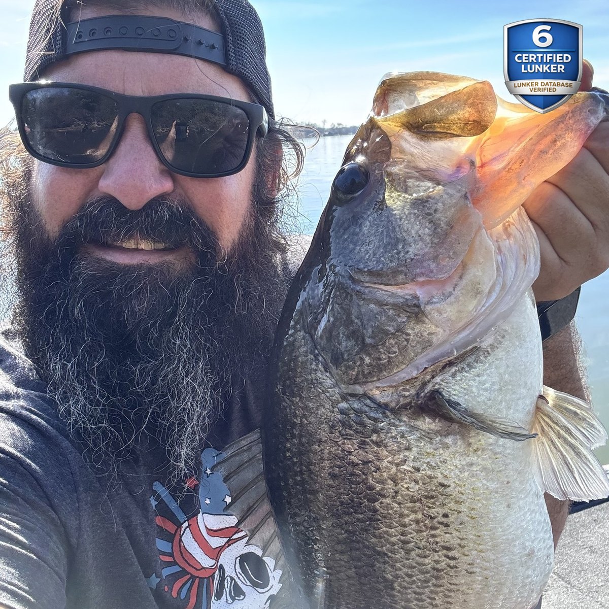 Largemouth Bass — 6 lbs 1 oz