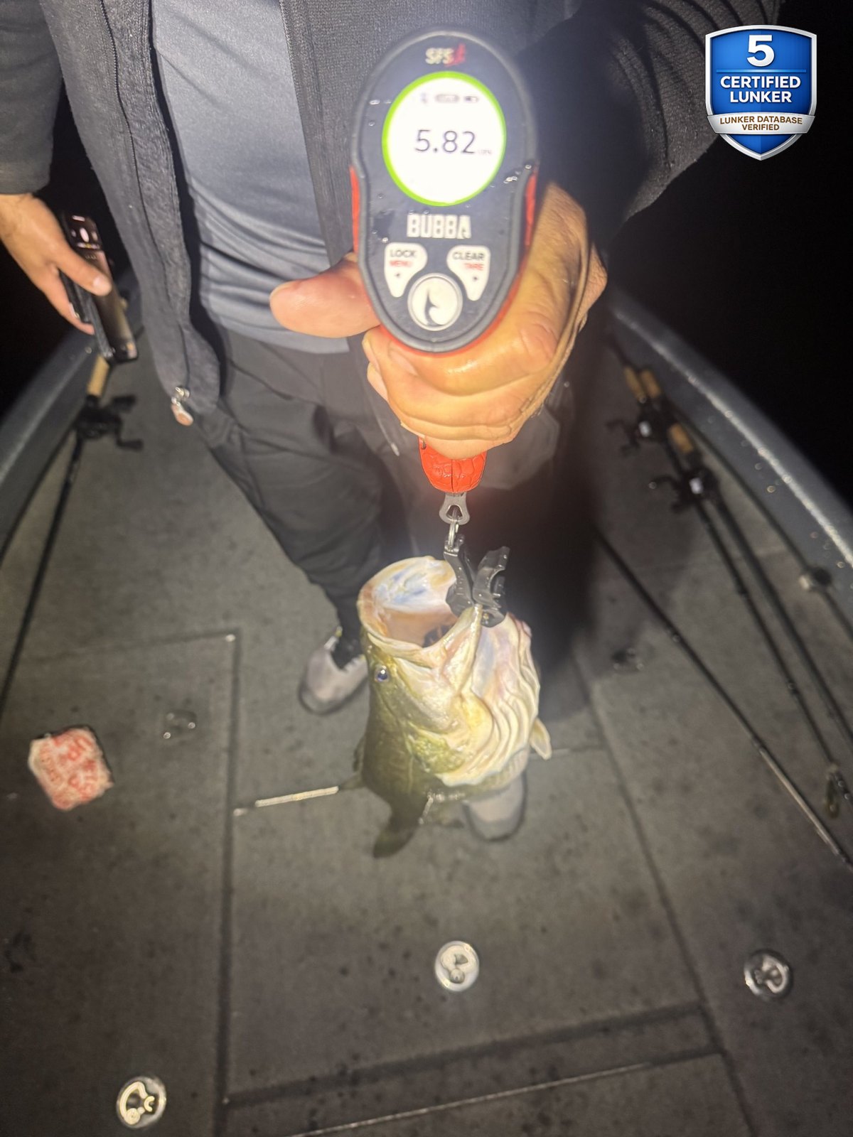 Largemouth Bass catch photo 2