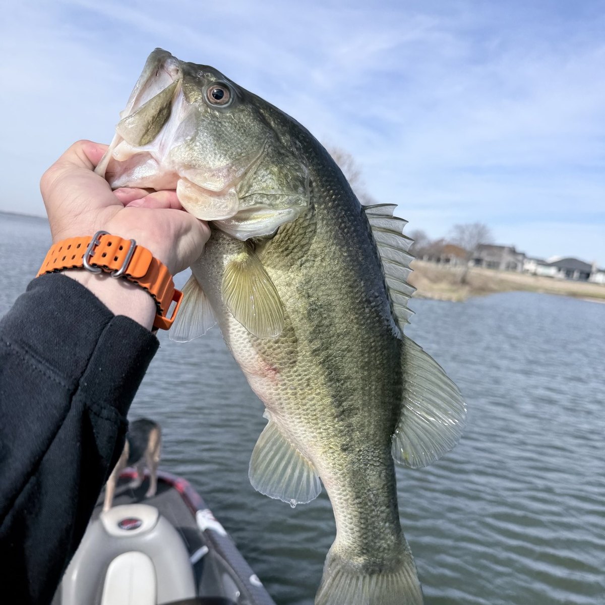 Largemouth Bass — 5 lbs 9 oz