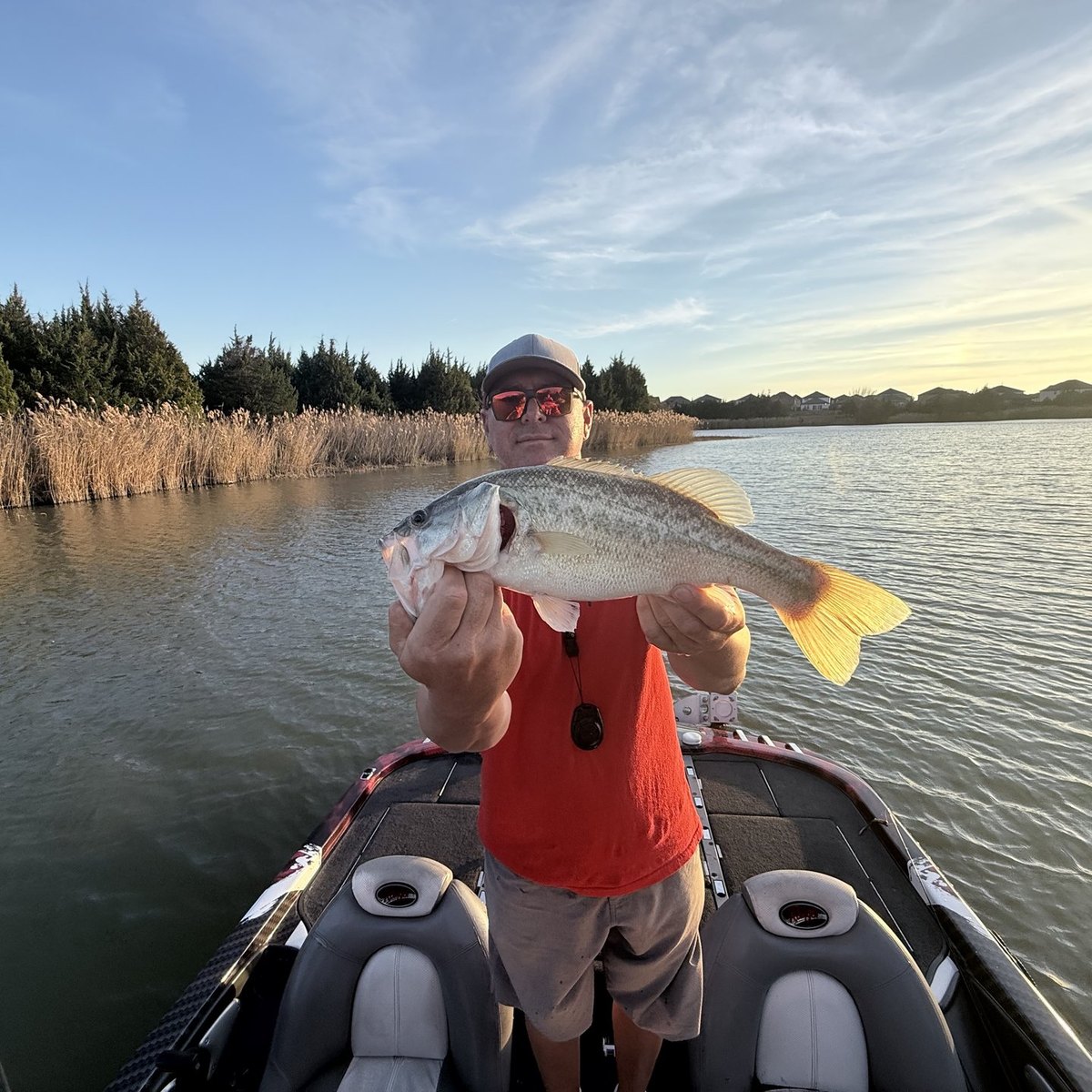 Largemouth Bass — 2 lbs 11 oz