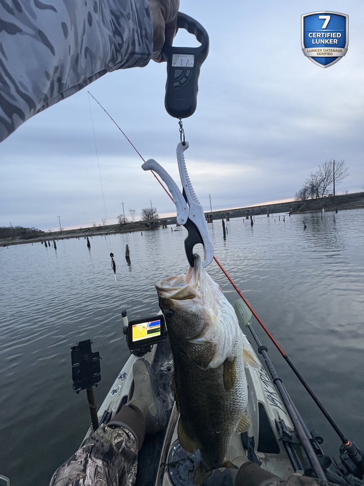Largemouth Bass catch photo 2