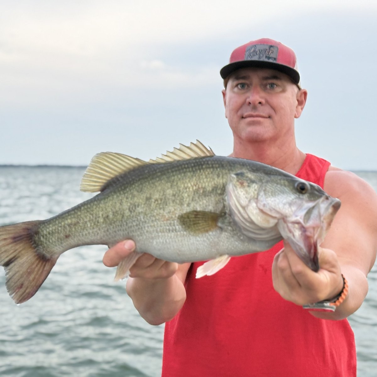 Largemouth Bass — 4 lbs 3 oz