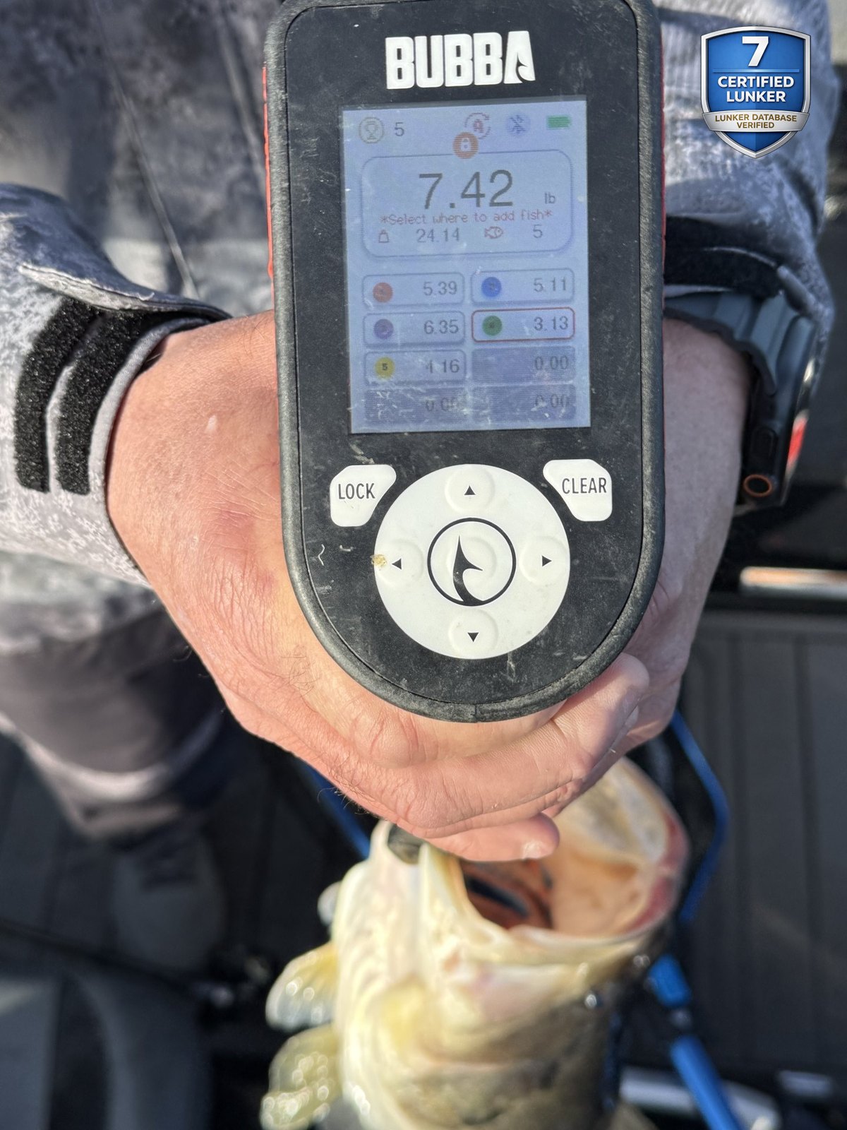 Largemouth Bass catch photo 2
