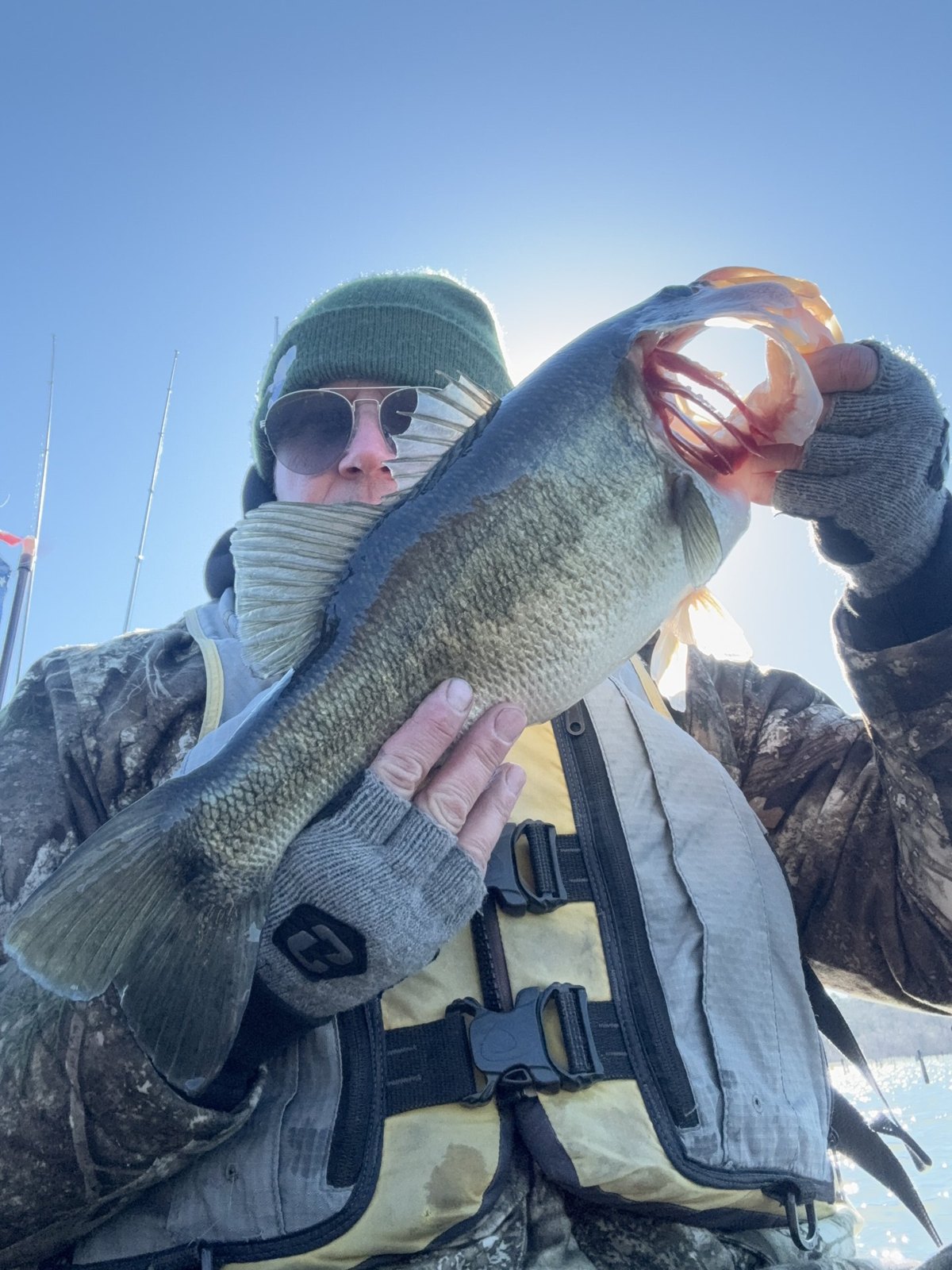 Largemouth Bass · 3 lbs 13 oz