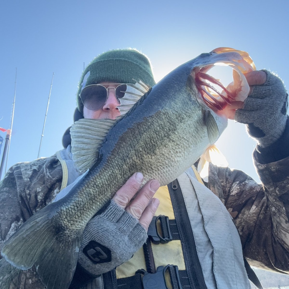 Largemouth Bass — 3 lbs 13 oz