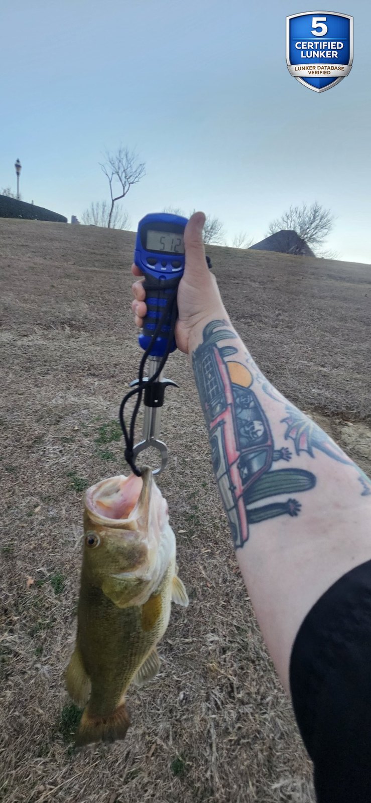 Largemouth Bass catch photo 2