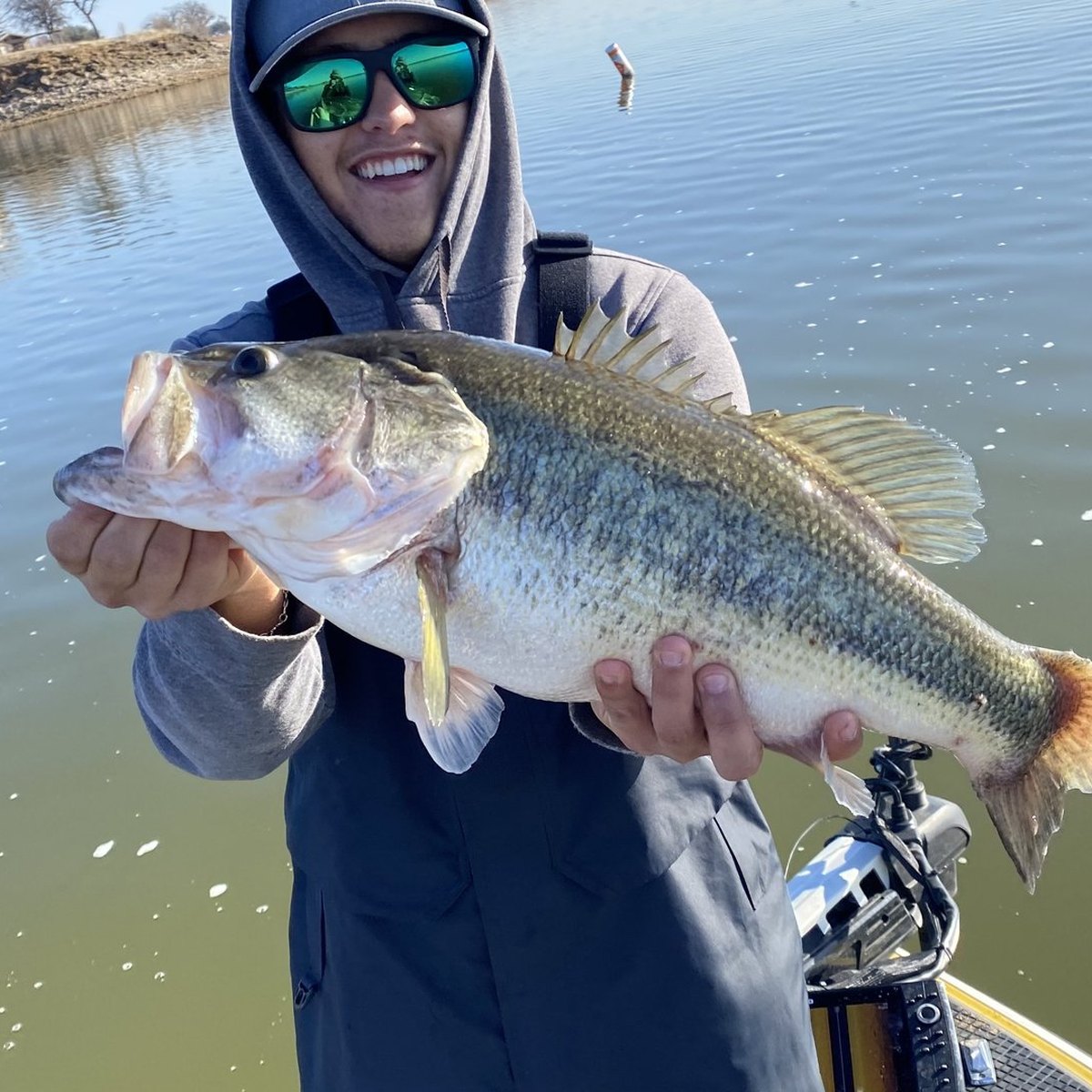 Largemouth Bass — 8 lbs