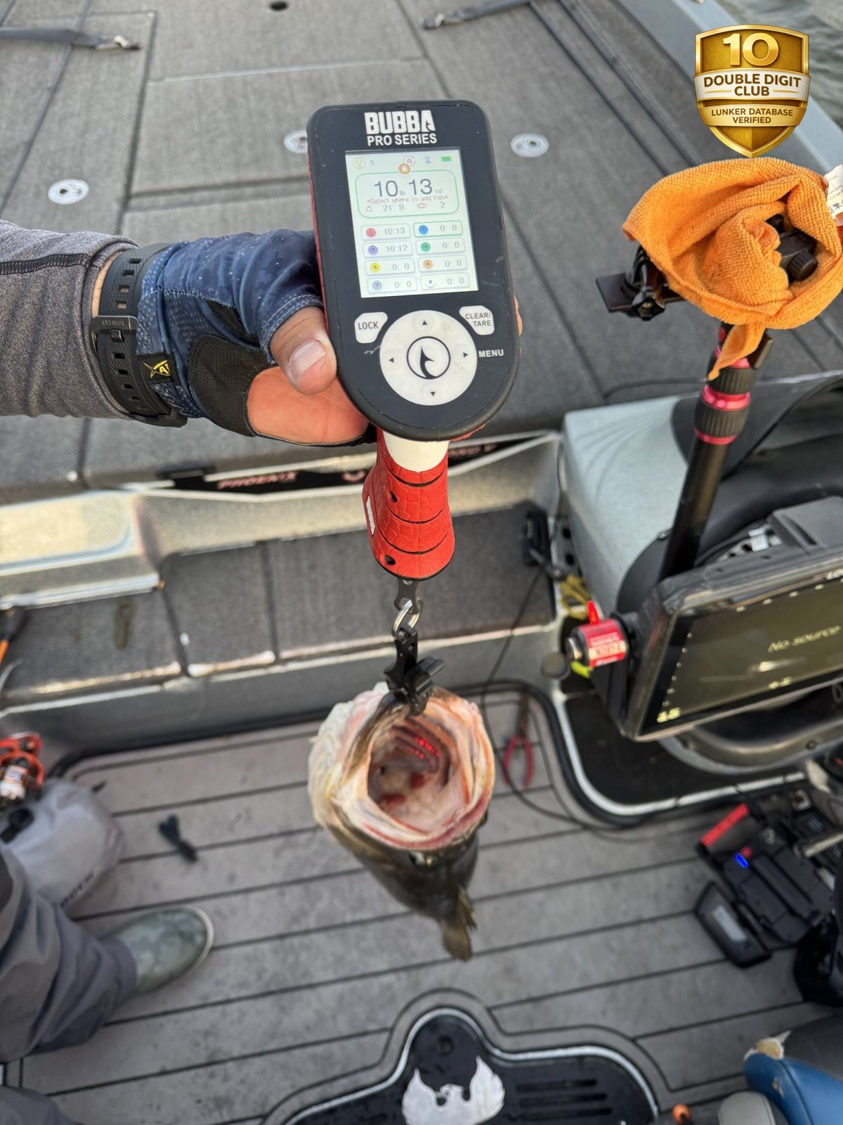 Largemouth Bass catch photo 2