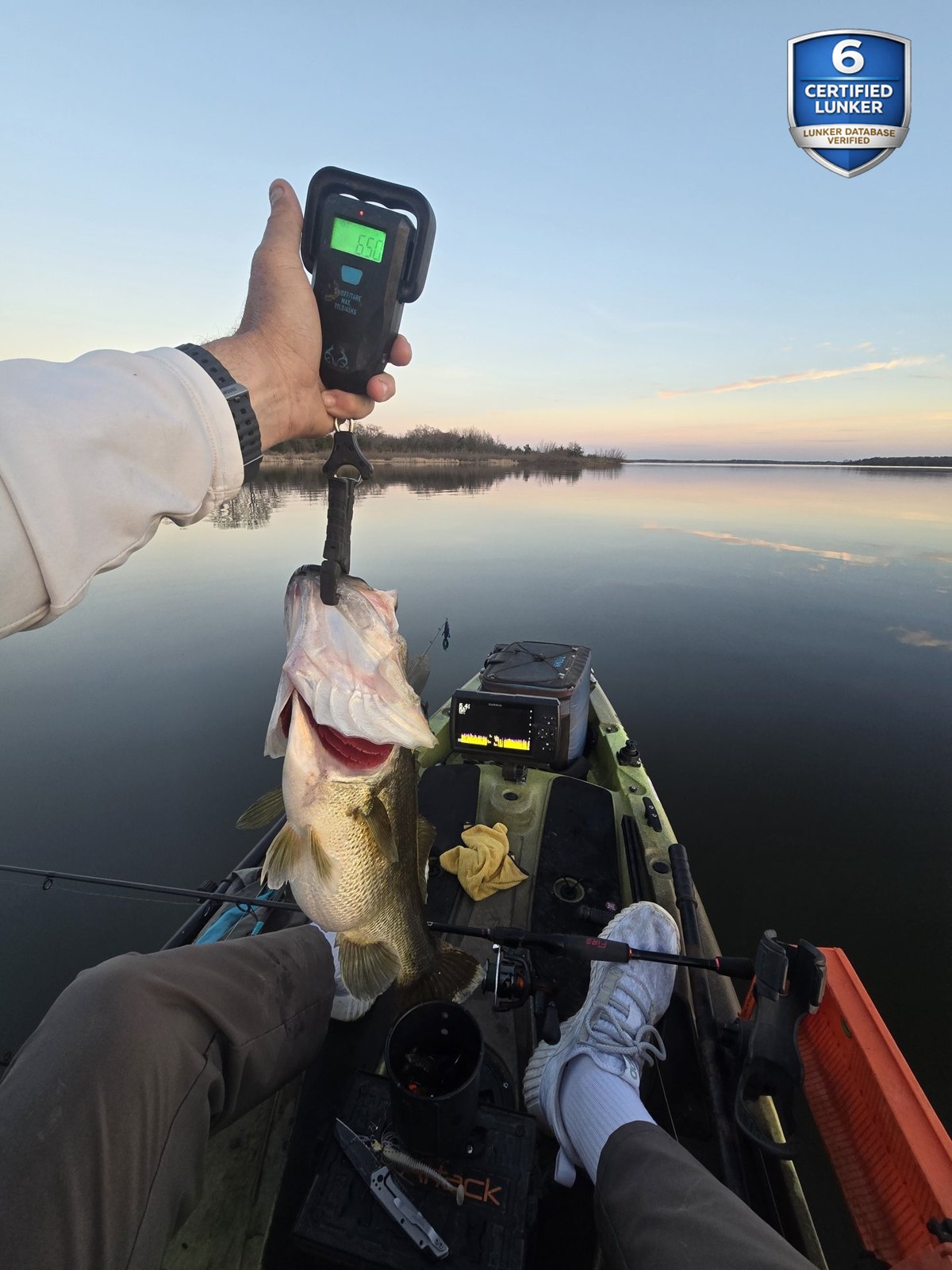 Largemouth Bass catch photo 2