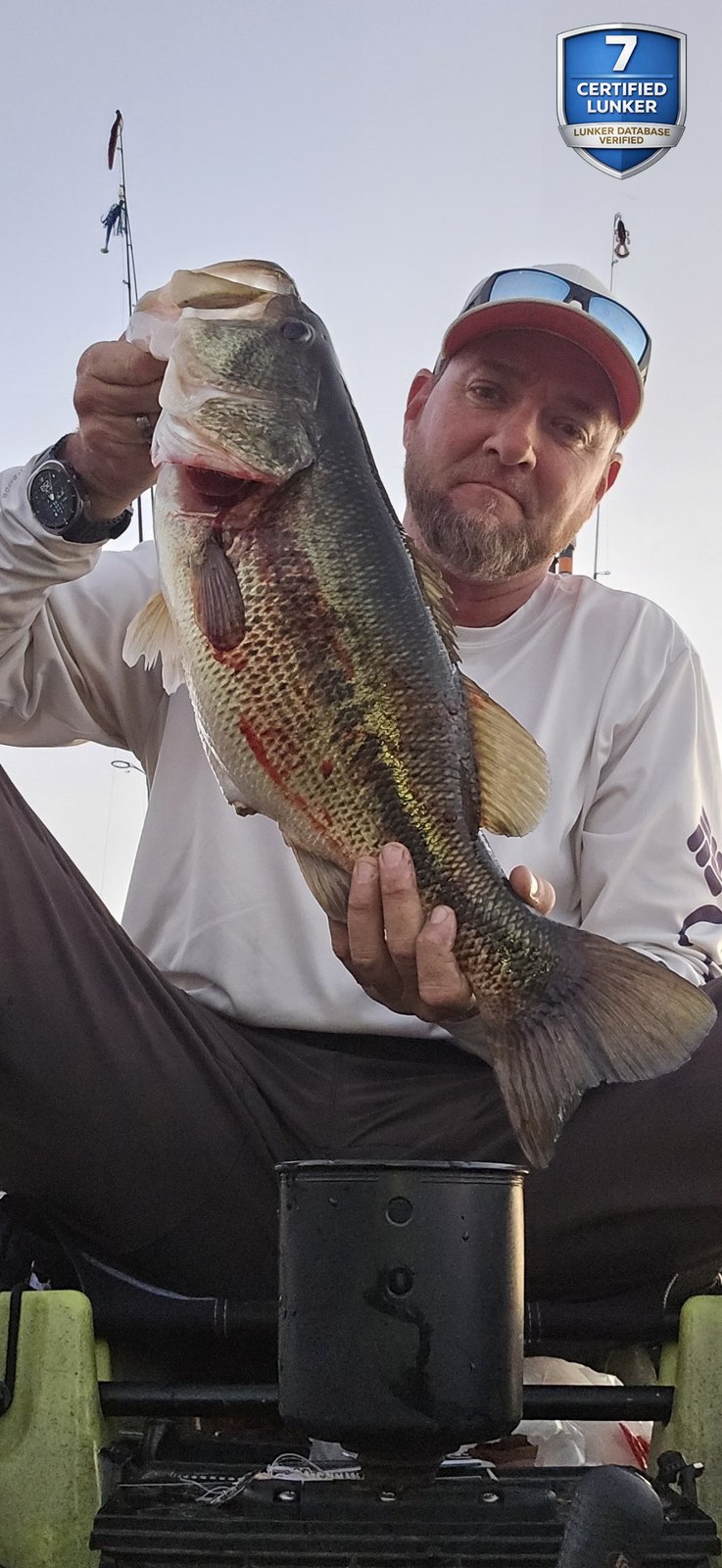 Largemouth Bass catch photo 1