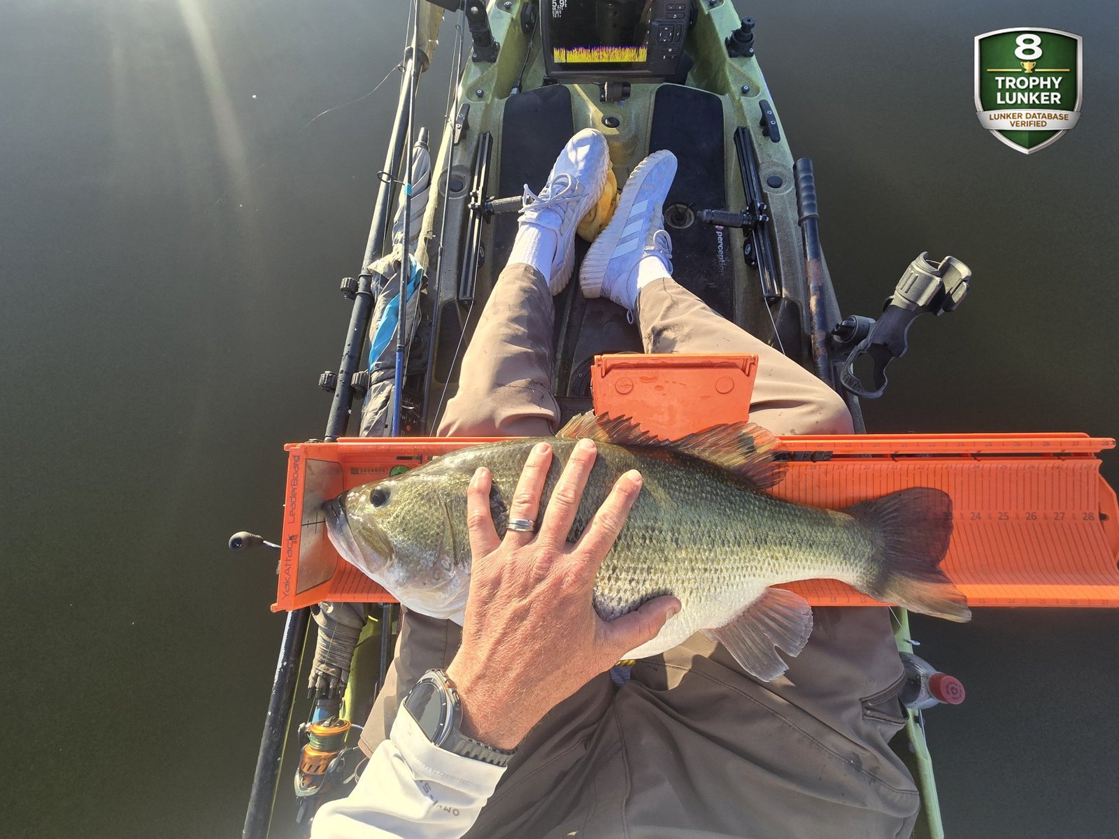 Largemouth Bass catch photo 3