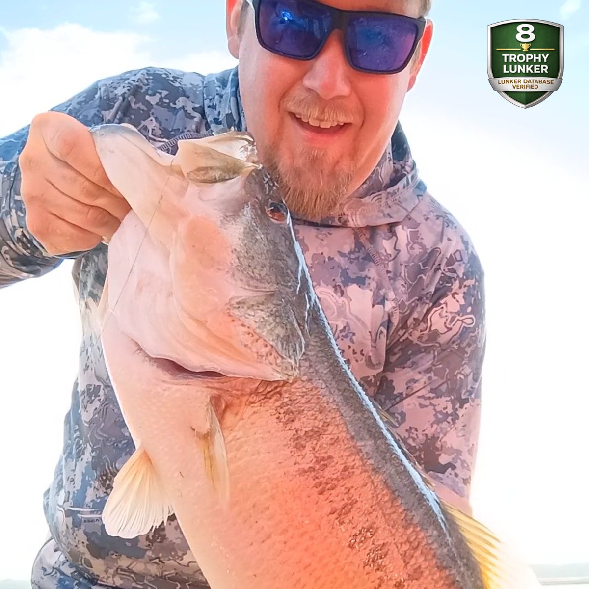 Largemouth Bass — 8 lbs 1 oz