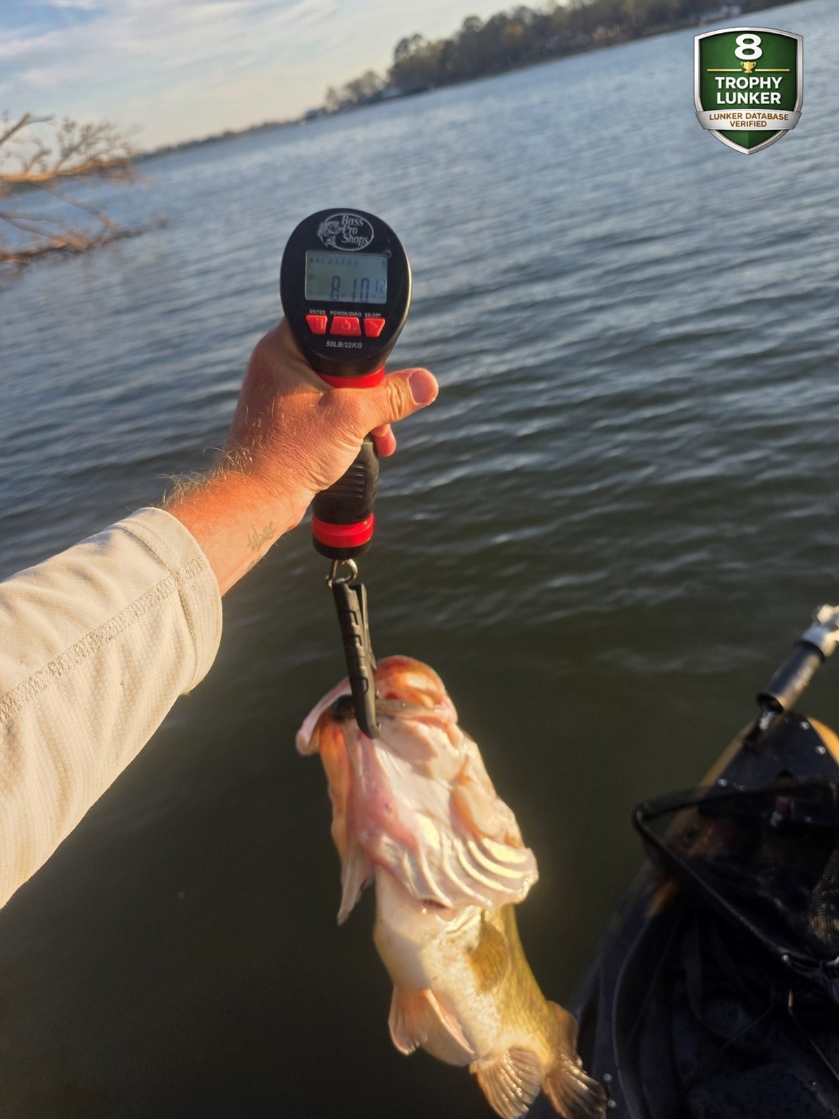 Largemouth Bass catch photo 2