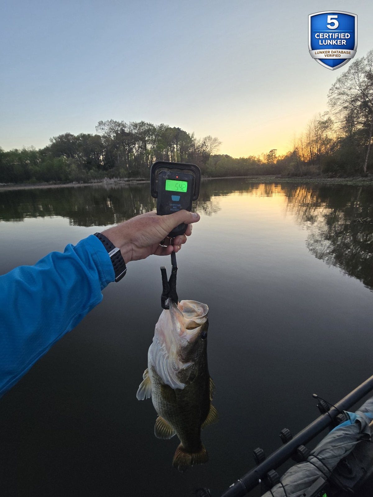 Largemouth Bass catch photo 2