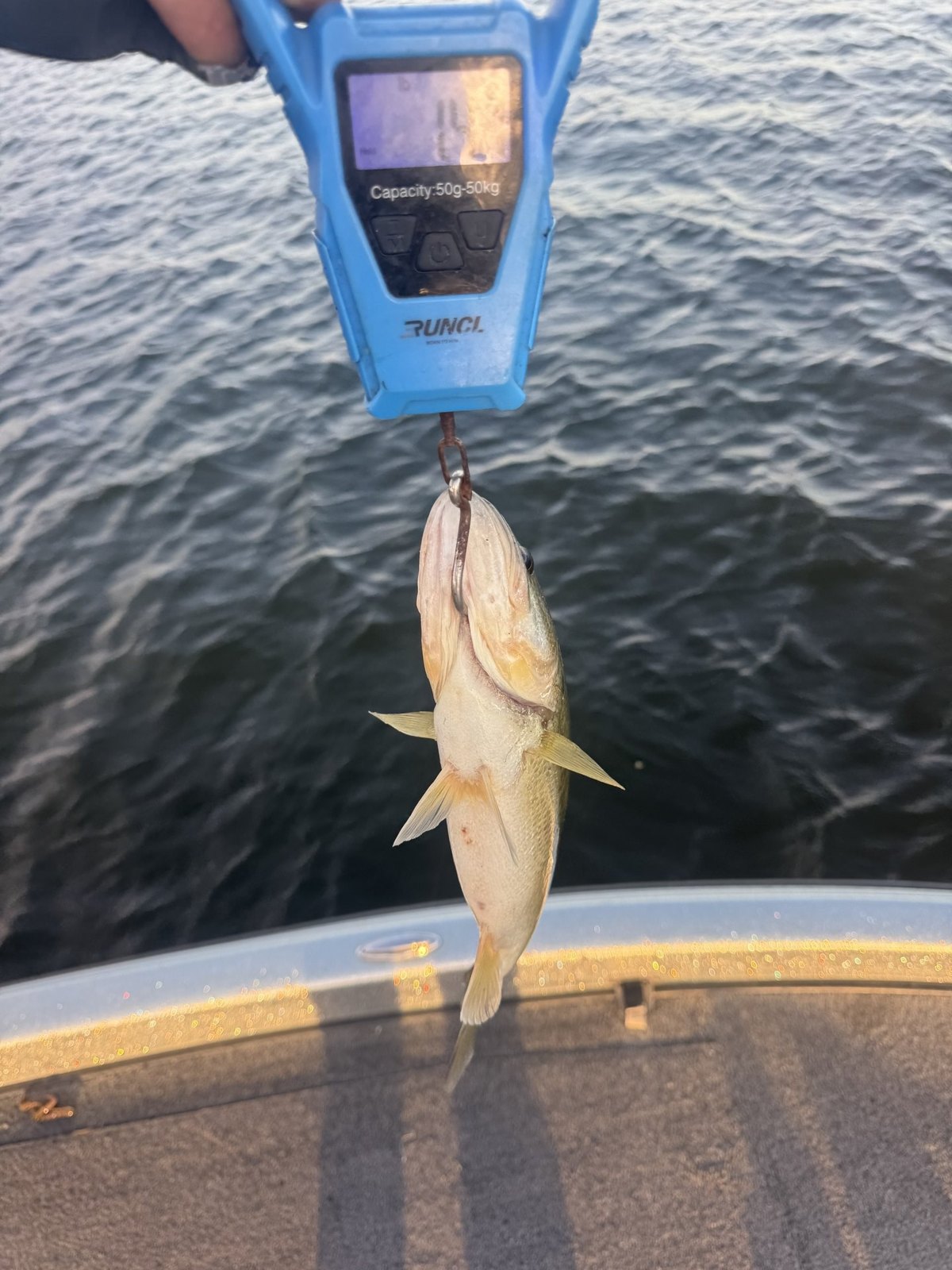 Largemouth Bass · 1 lbs 8 oz