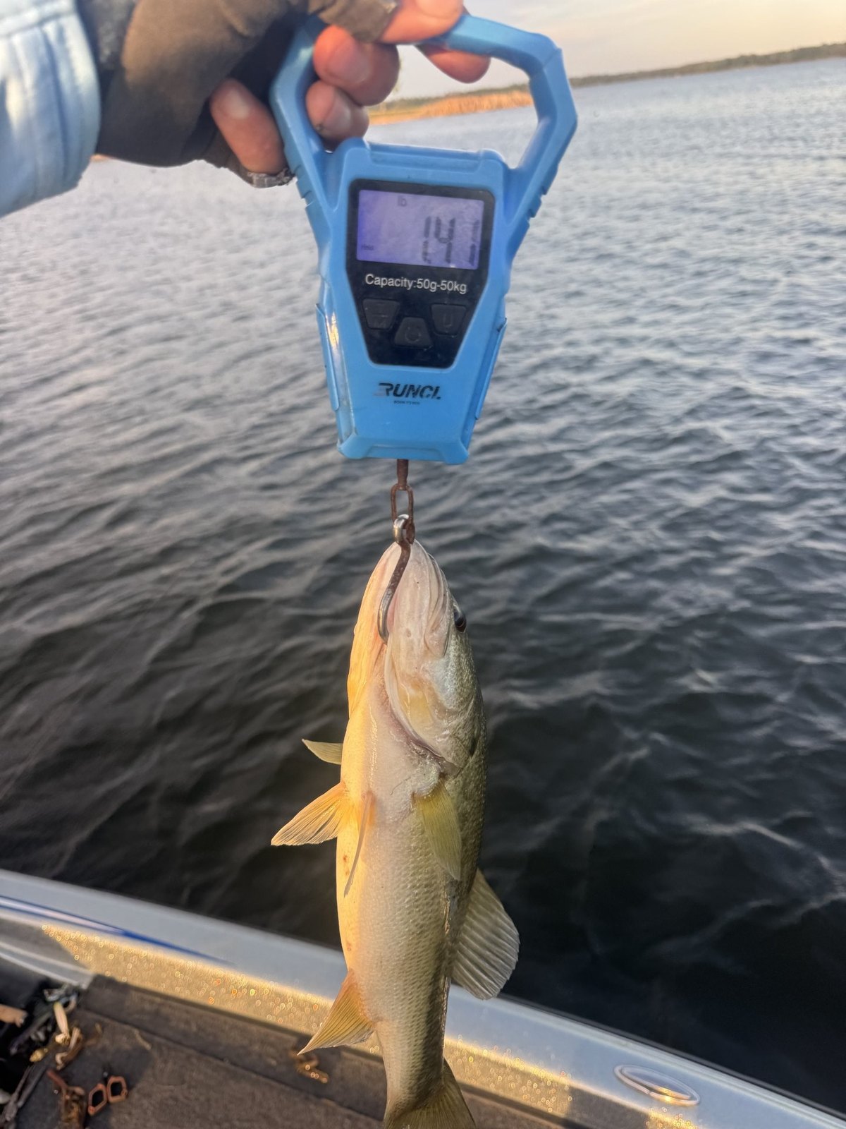 Largemouth Bass · 1 lbs 6 oz