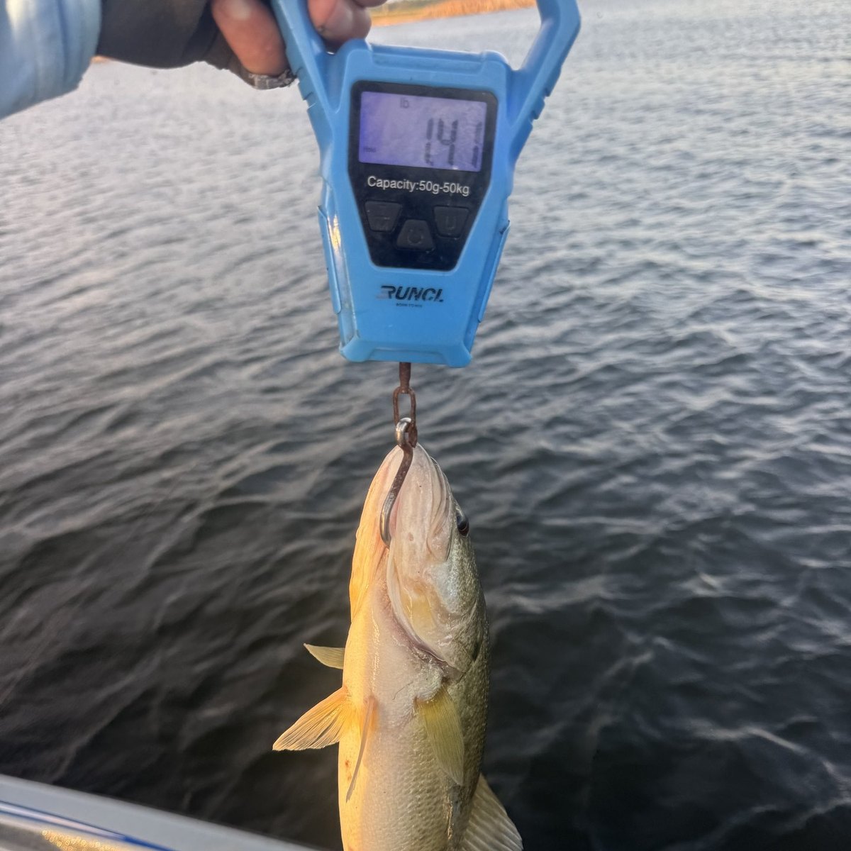 Largemouth Bass — 1 lbs 6 oz