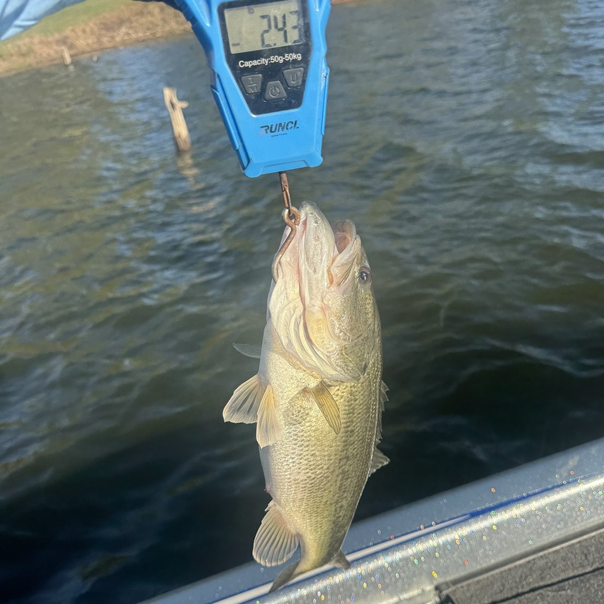 Largemouth Bass — 2 lbs 6 oz