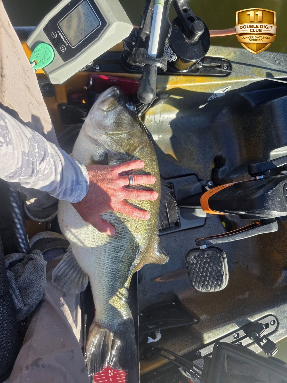 Largemouth Bass catch photo 3