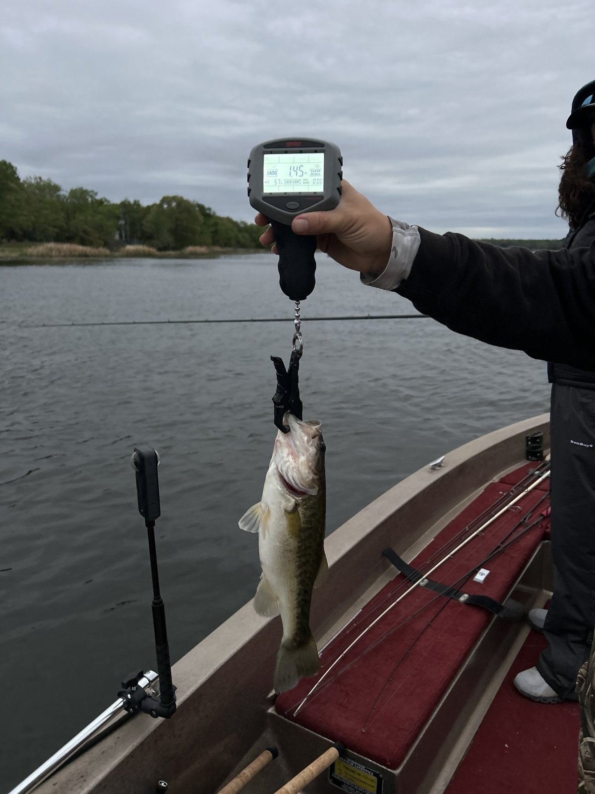 Largemouth Bass catch photo 2