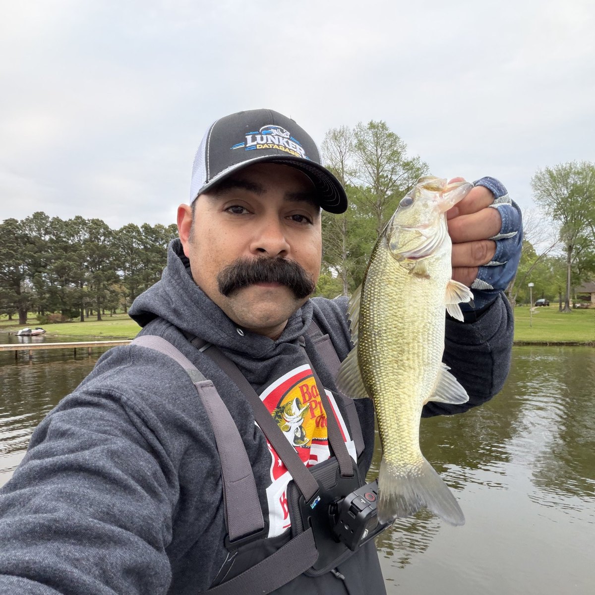 Largemouth Bass — 0 lbs 11 oz