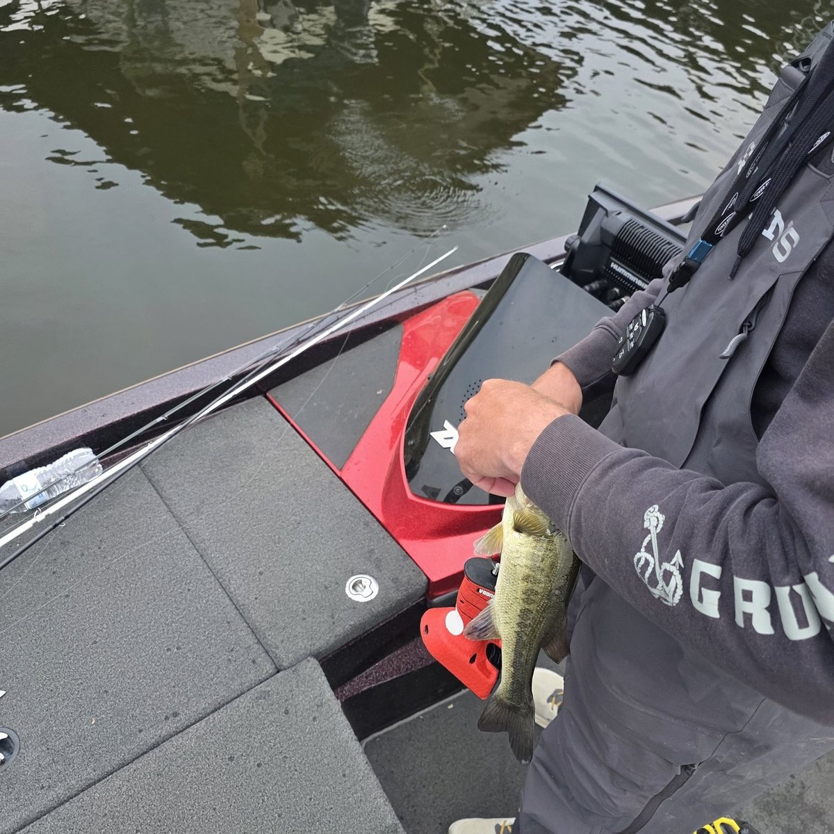 Largemouth Bass — 0 lbs 15 oz
