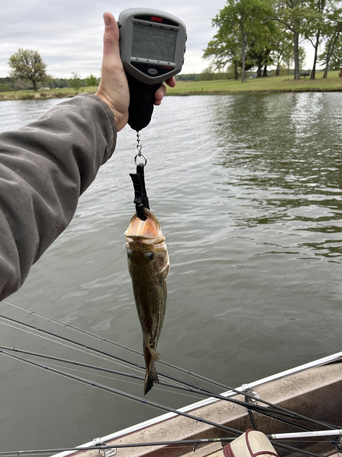 Largemouth Bass catch photo 2