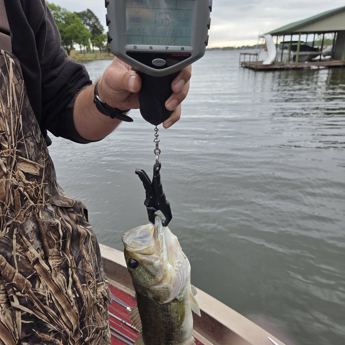 Largemouth Bass — 1 lbs 9 oz