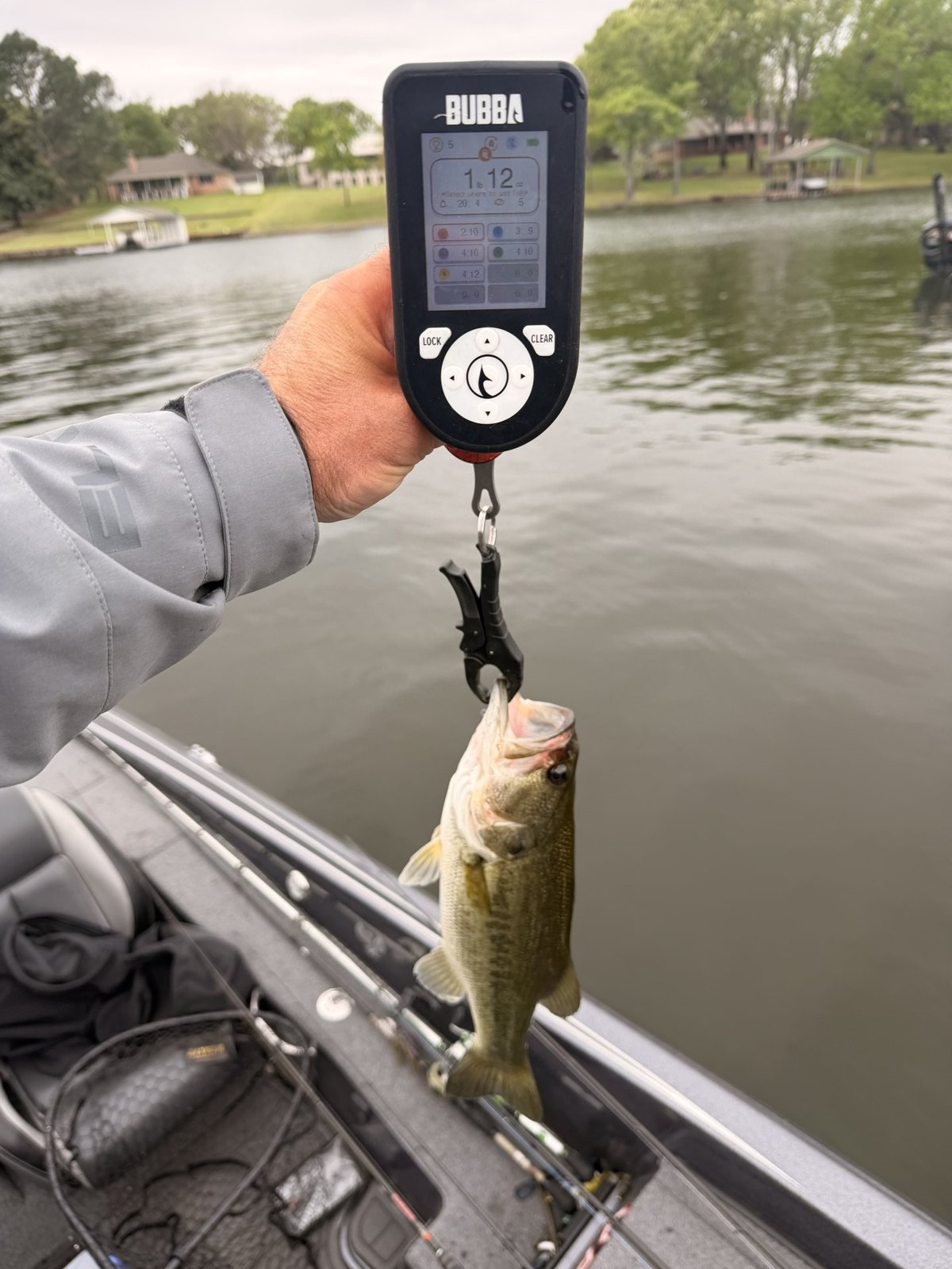 Largemouth Bass catch photo 2