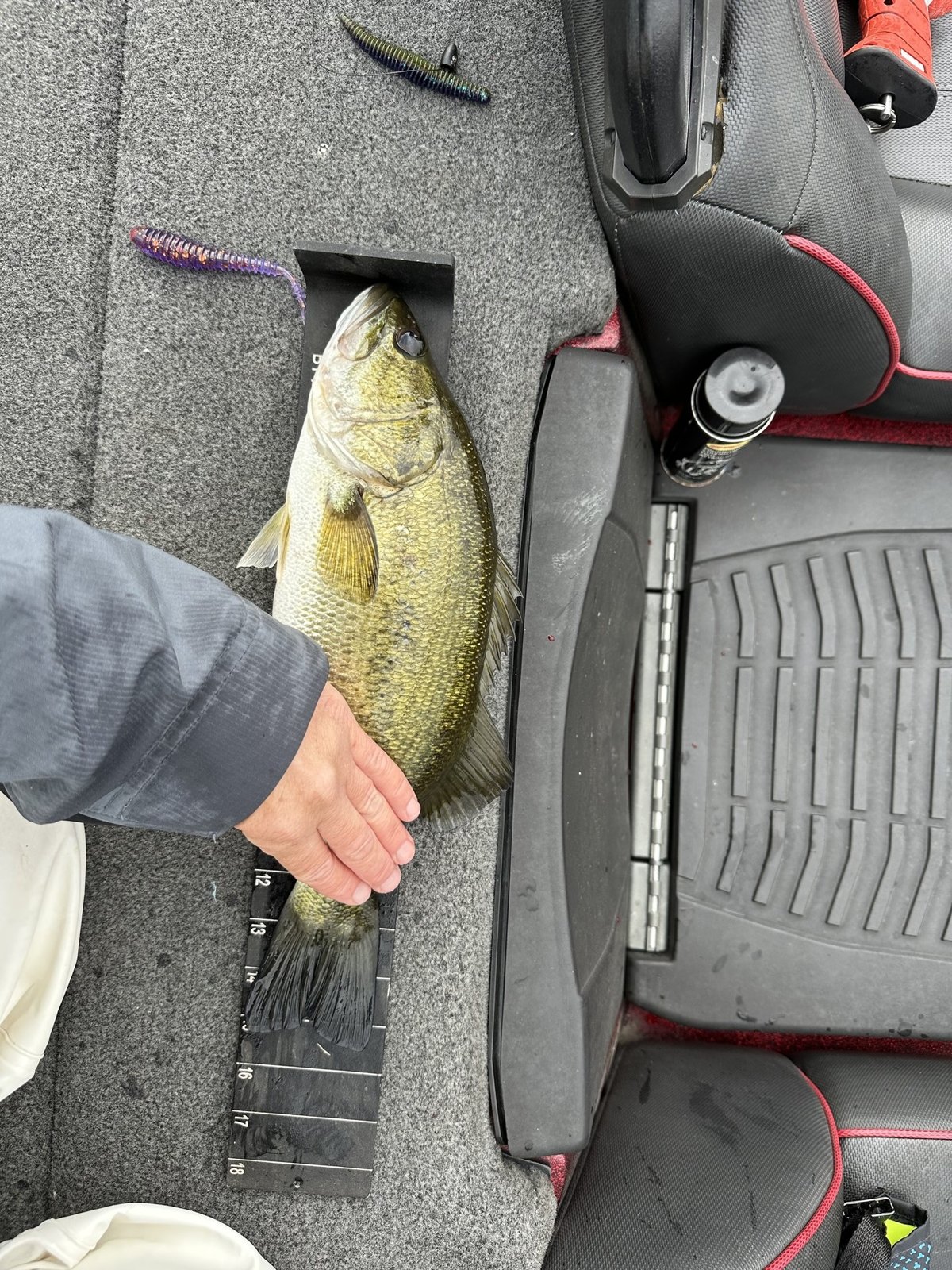 Largemouth Bass catch photo 3