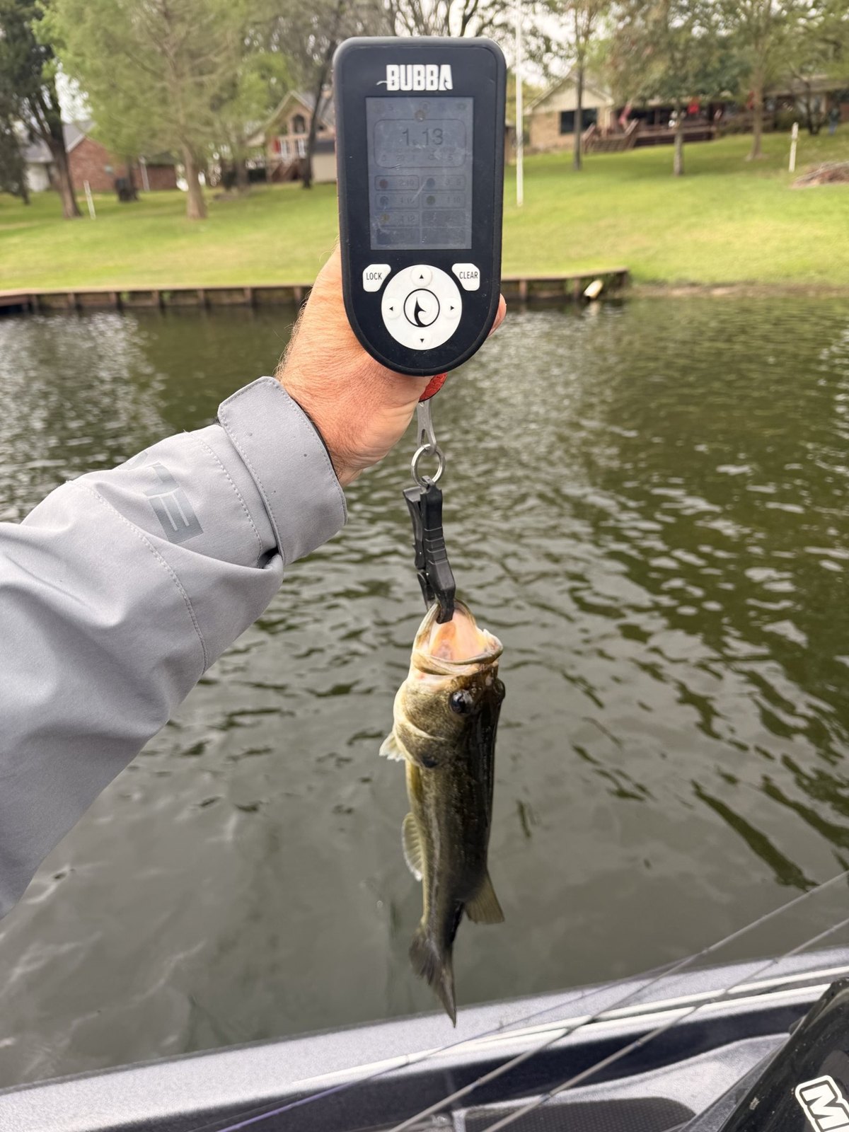 Largemouth Bass catch photo 2