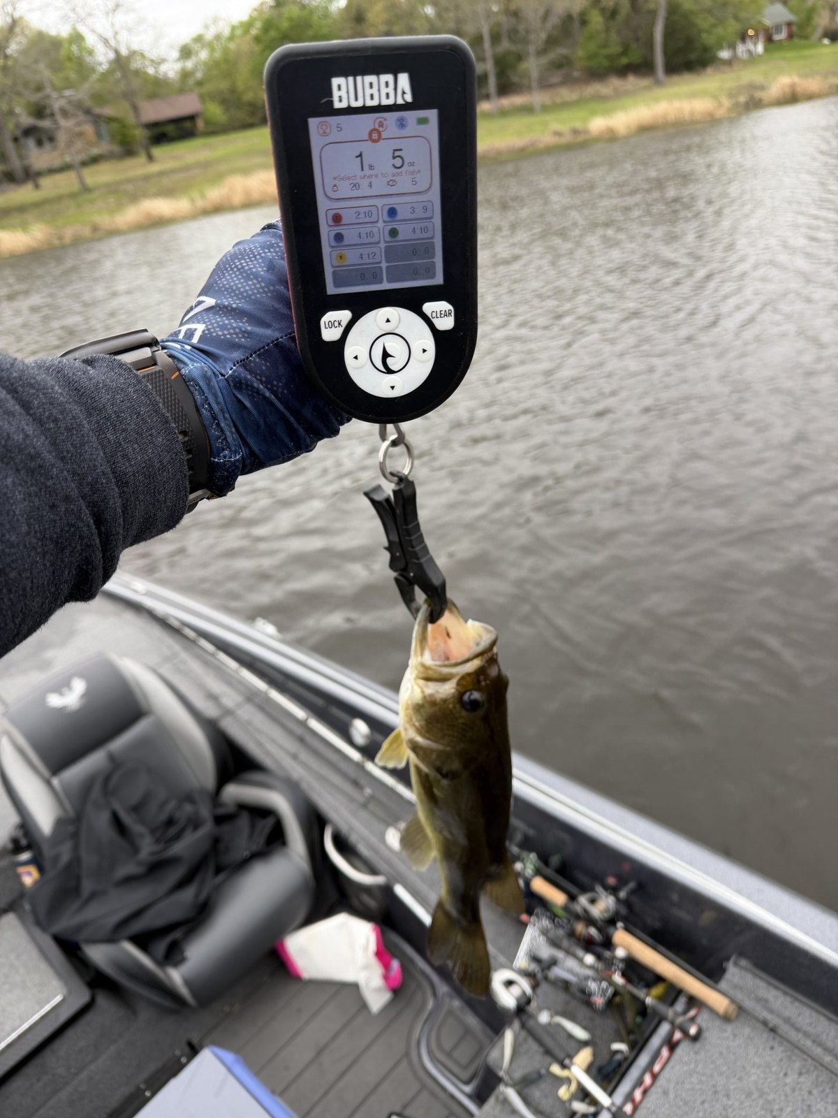 Largemouth Bass catch photo 2