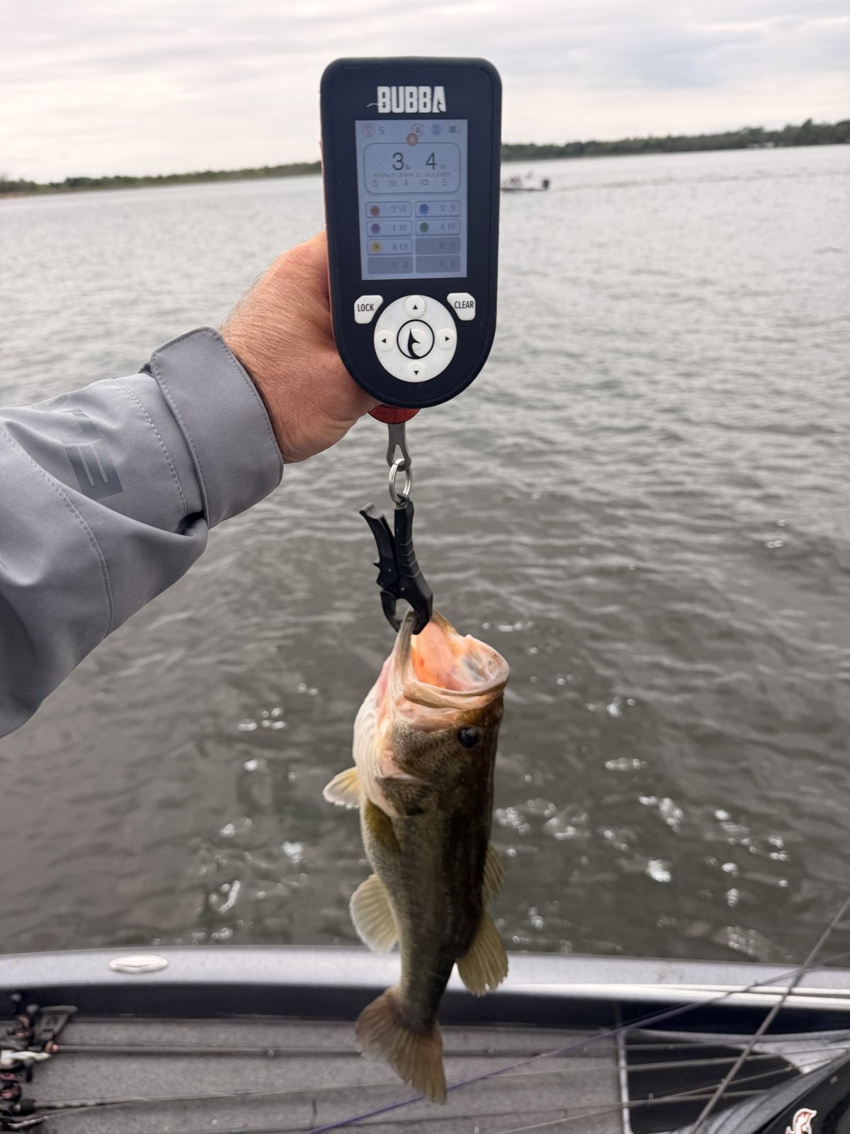 Largemouth Bass catch photo 2