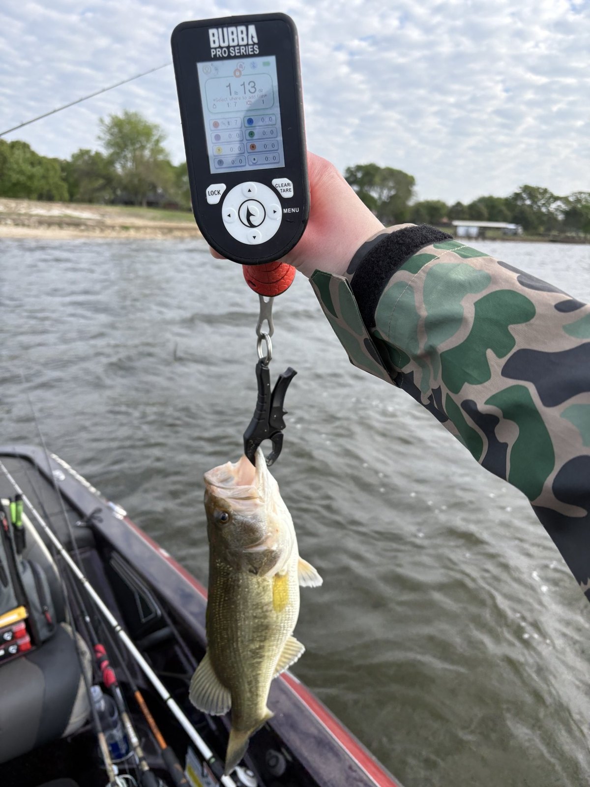 Largemouth Bass catch photo 2
