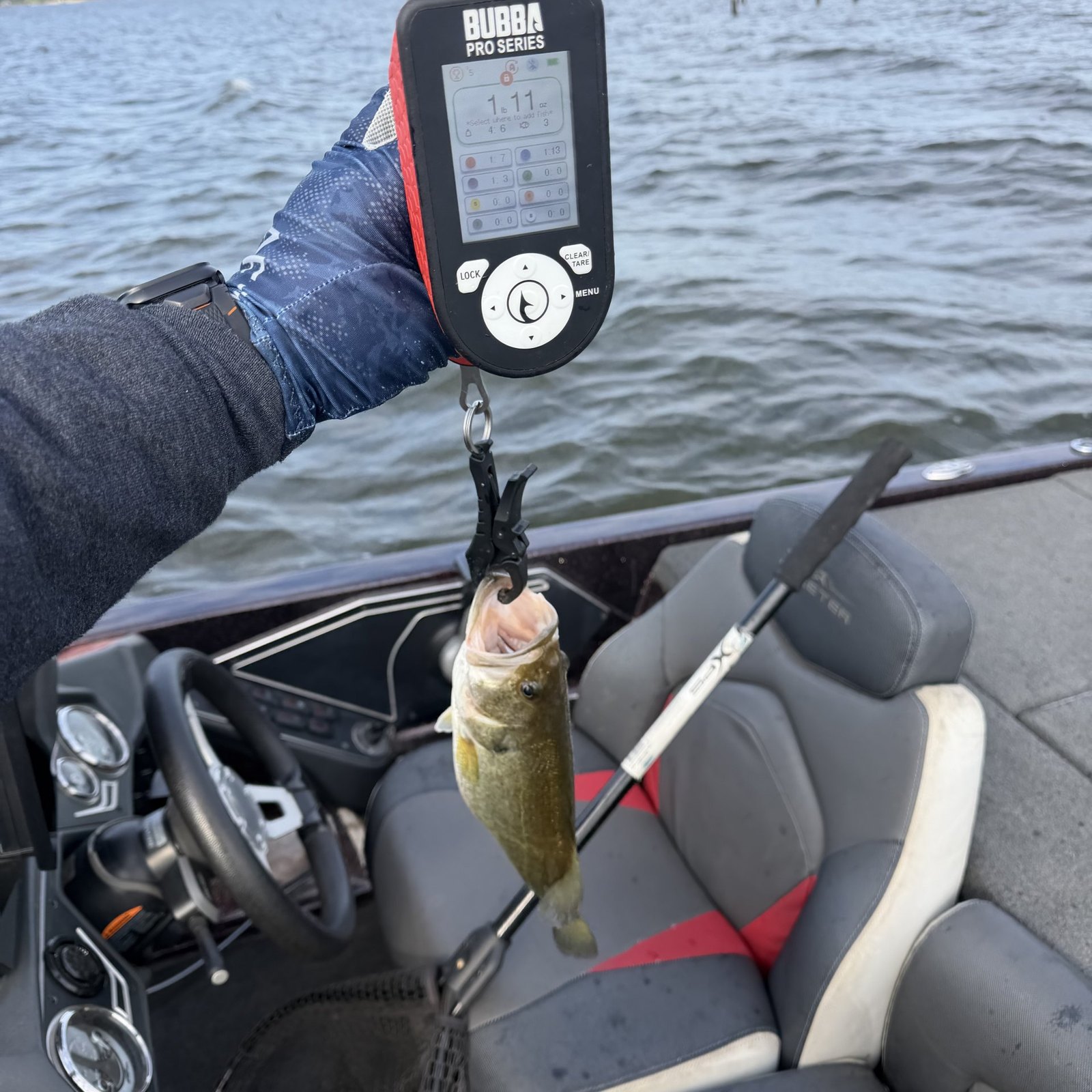 Largemouth Bass catch photo 2
