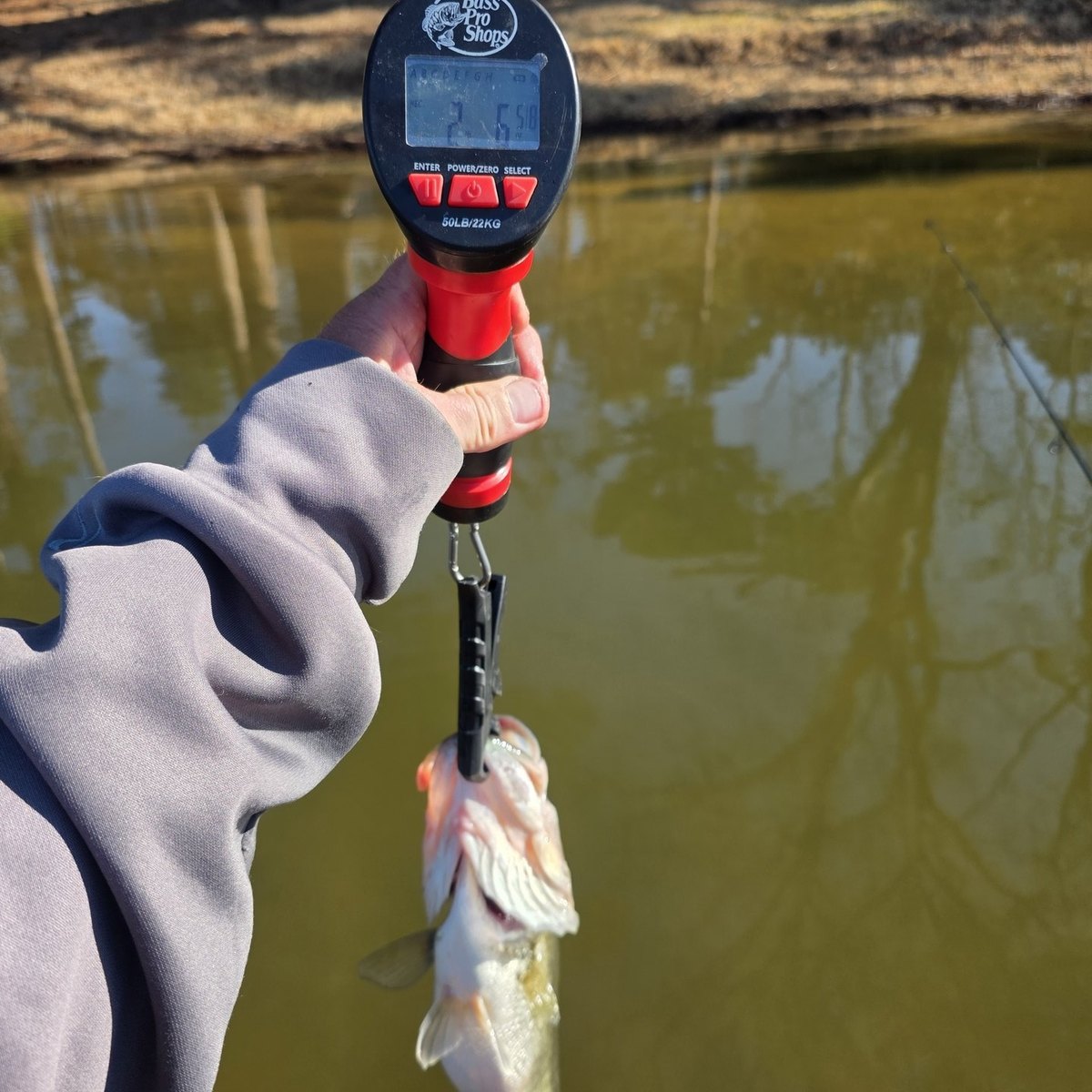 Largemouth Bass — 2 lbs 6 oz
