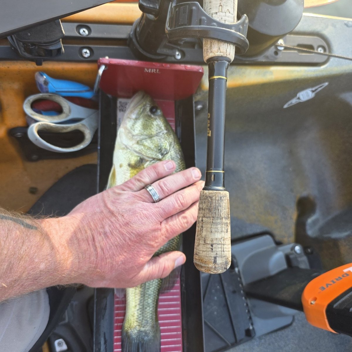 Largemouth Bass — 1 lbs 1 oz