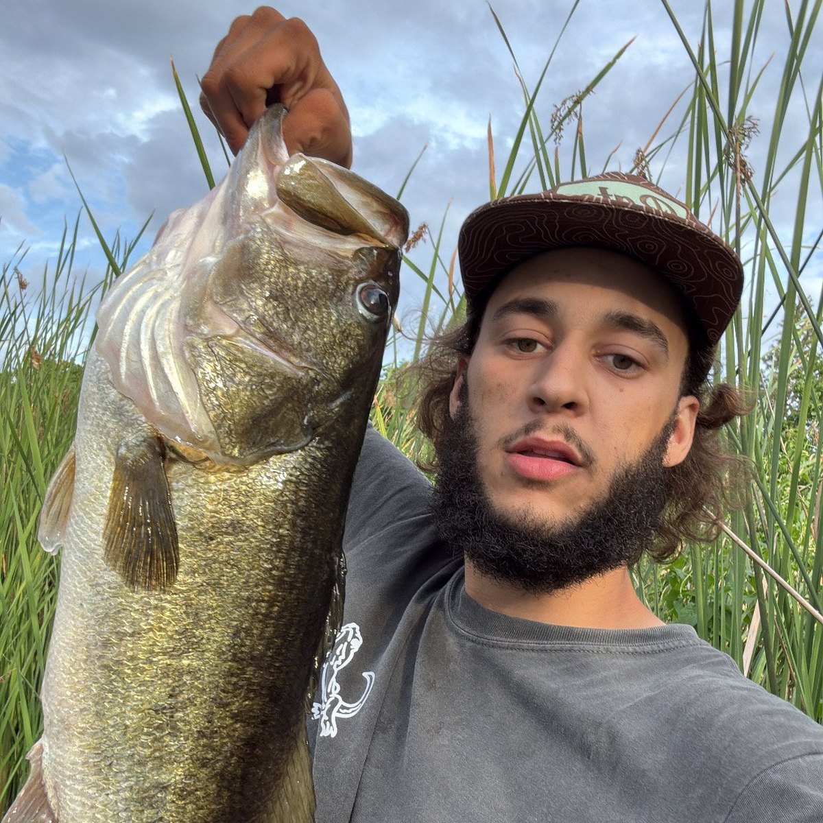 Largemouth Bass — 8 lbs