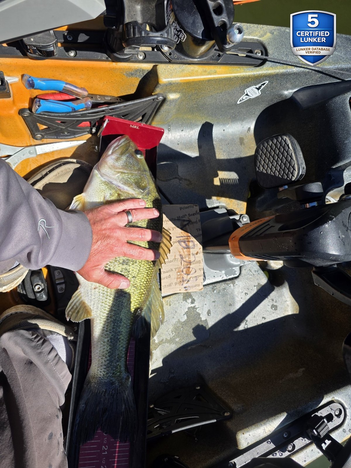 Largemouth Bass catch photo 1