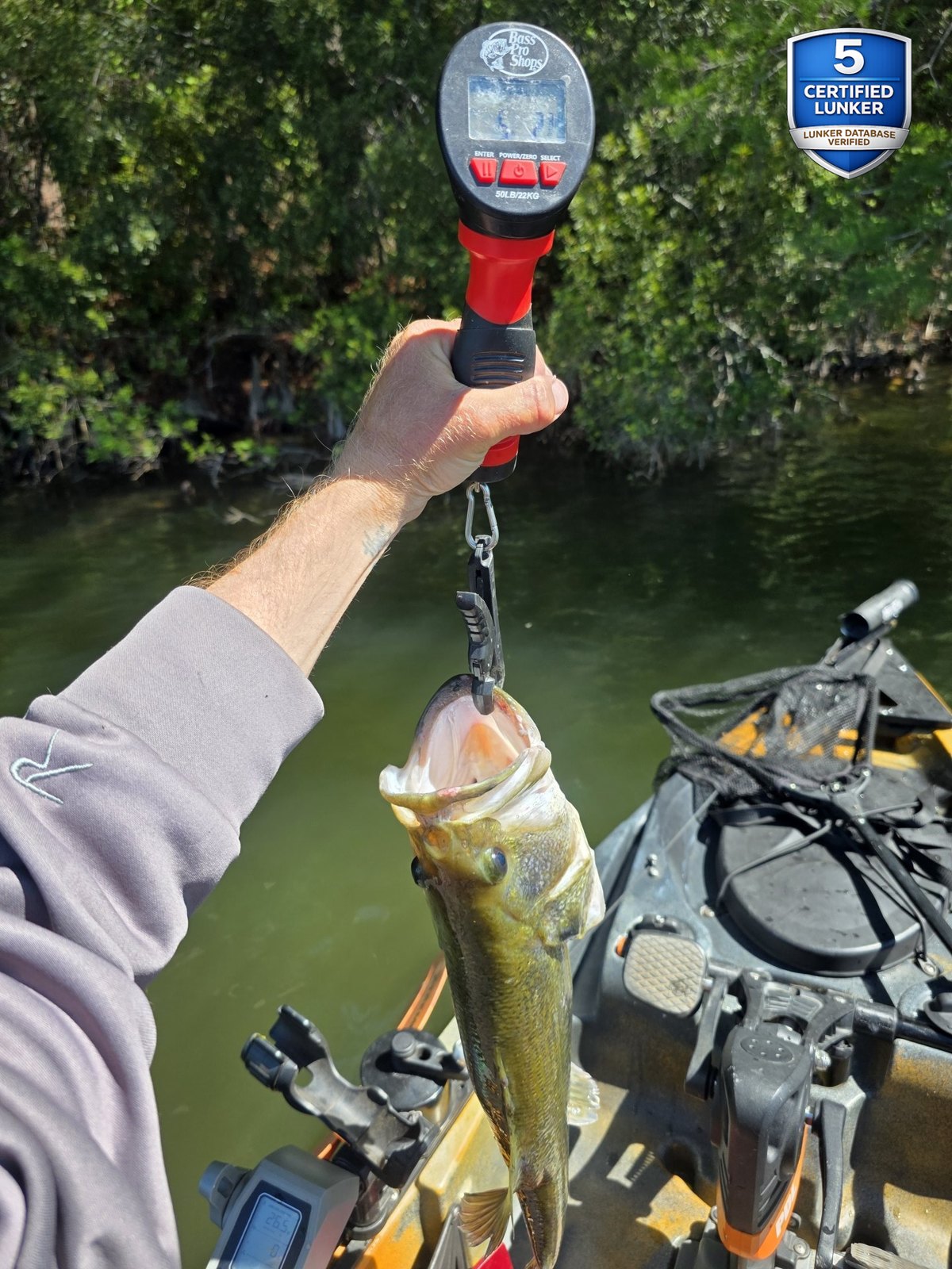 Largemouth Bass catch photo 2