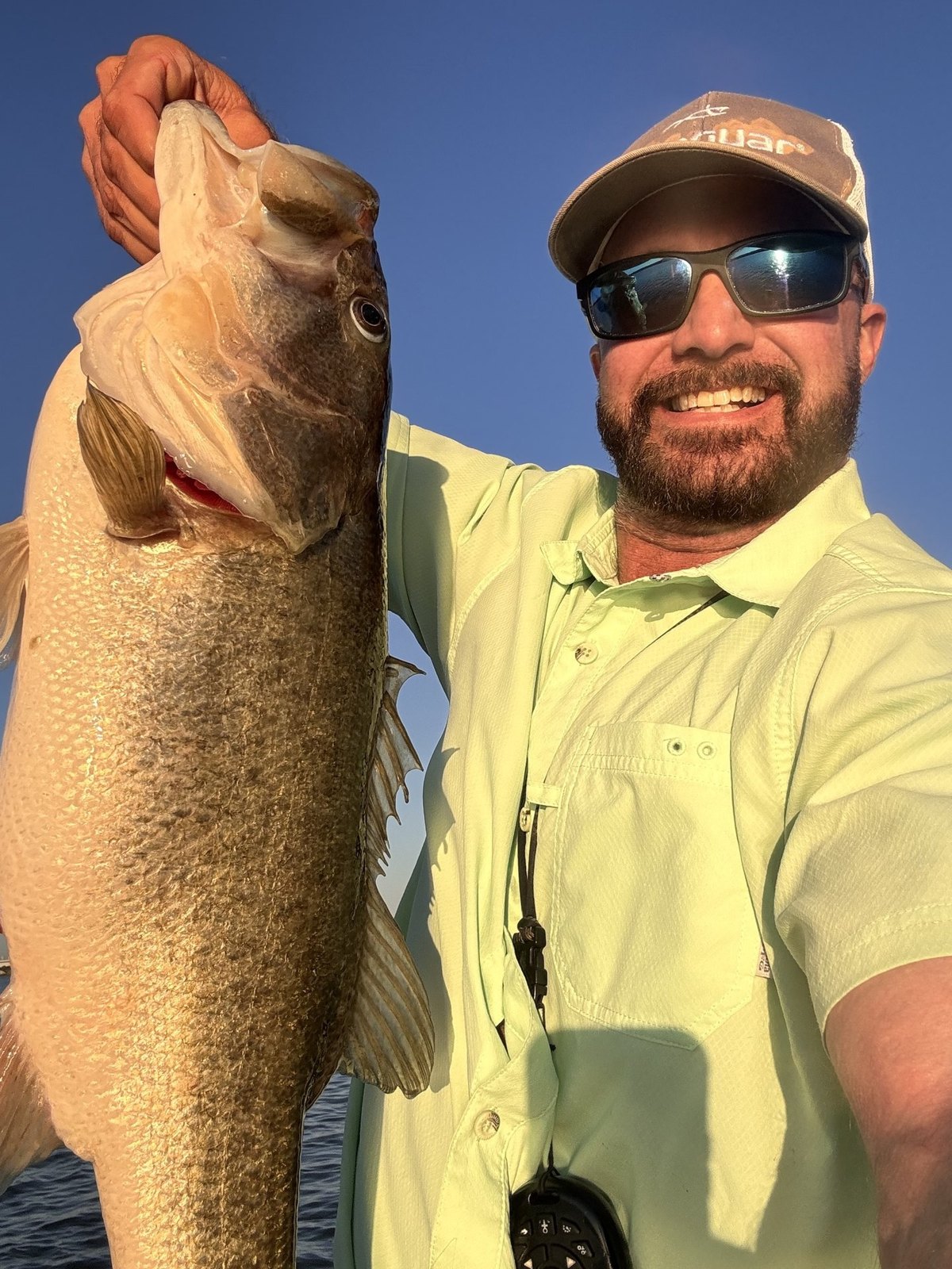 Largemouth Bass · 8 lbs 6 oz
