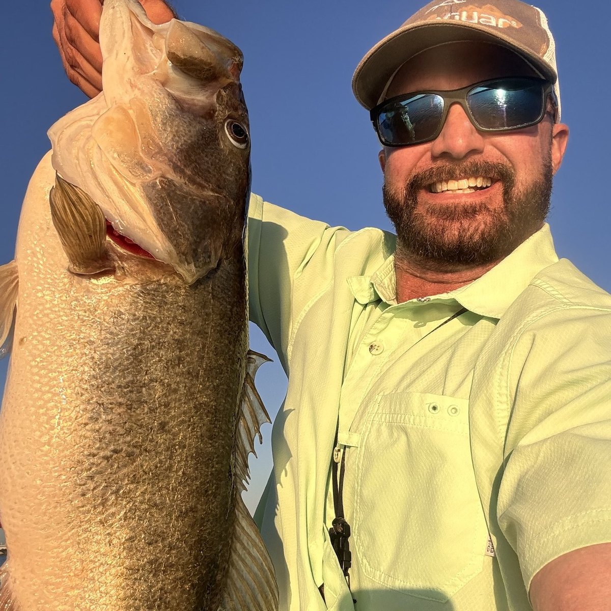 Largemouth Bass — 8 lbs 6 oz