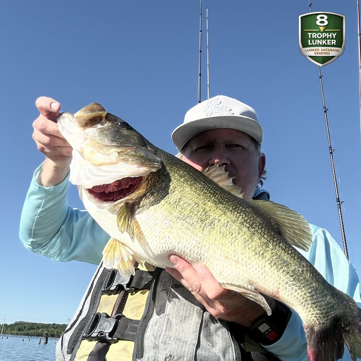 Largemouth Bass — 8 lbs 7 oz