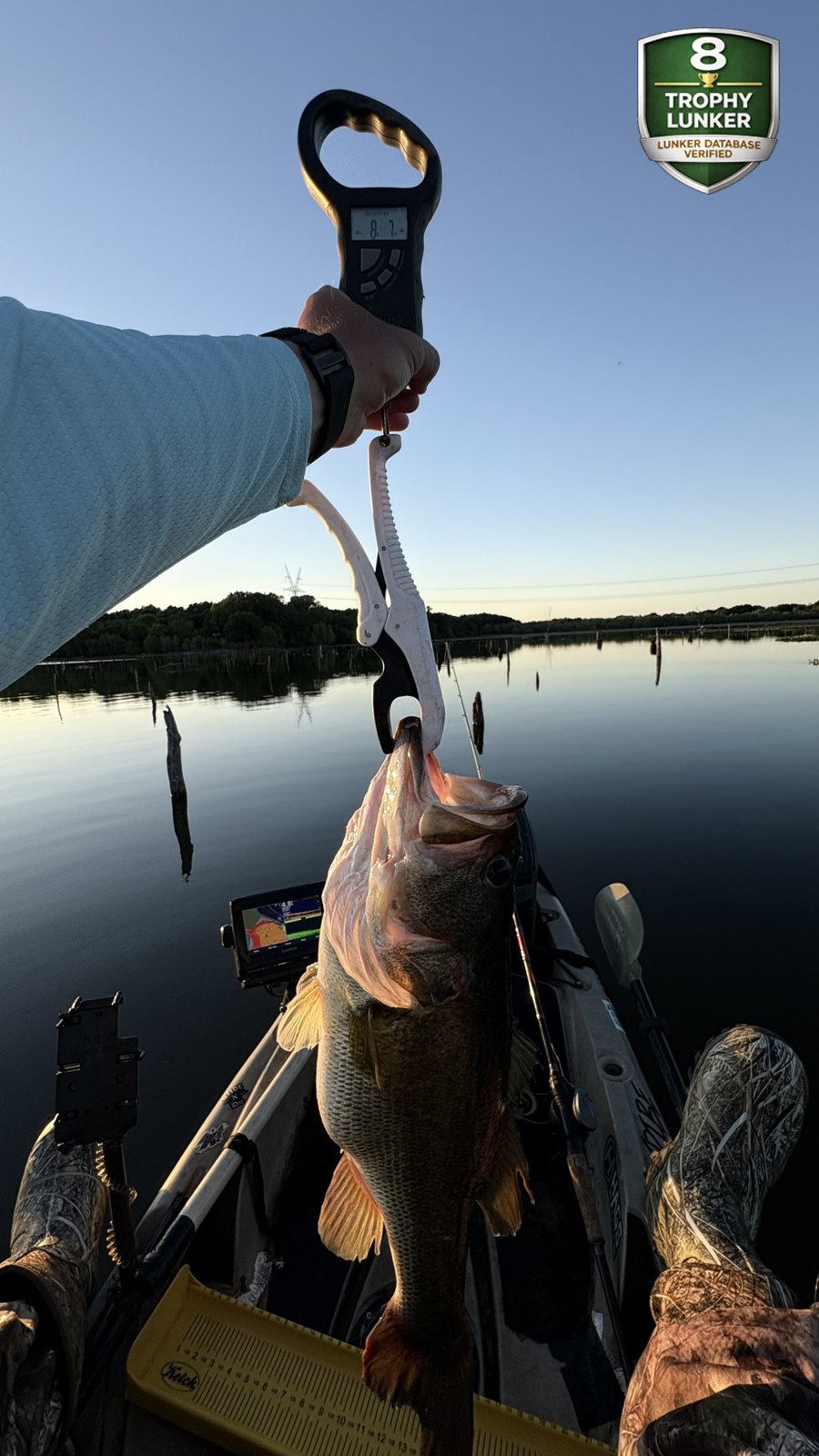Largemouth Bass catch photo 2
