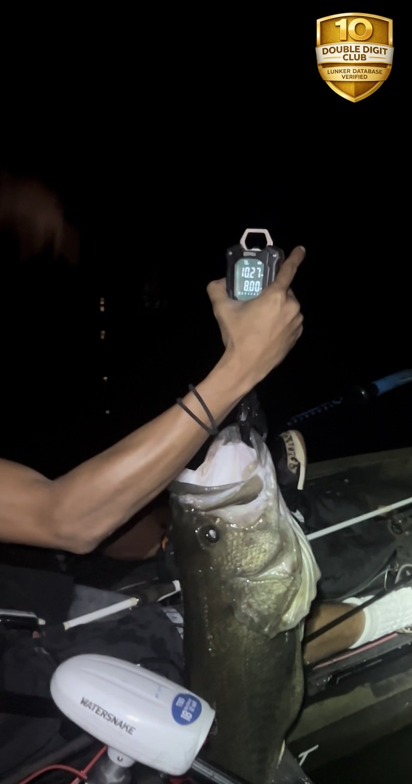Largemouth Bass catch photo 2