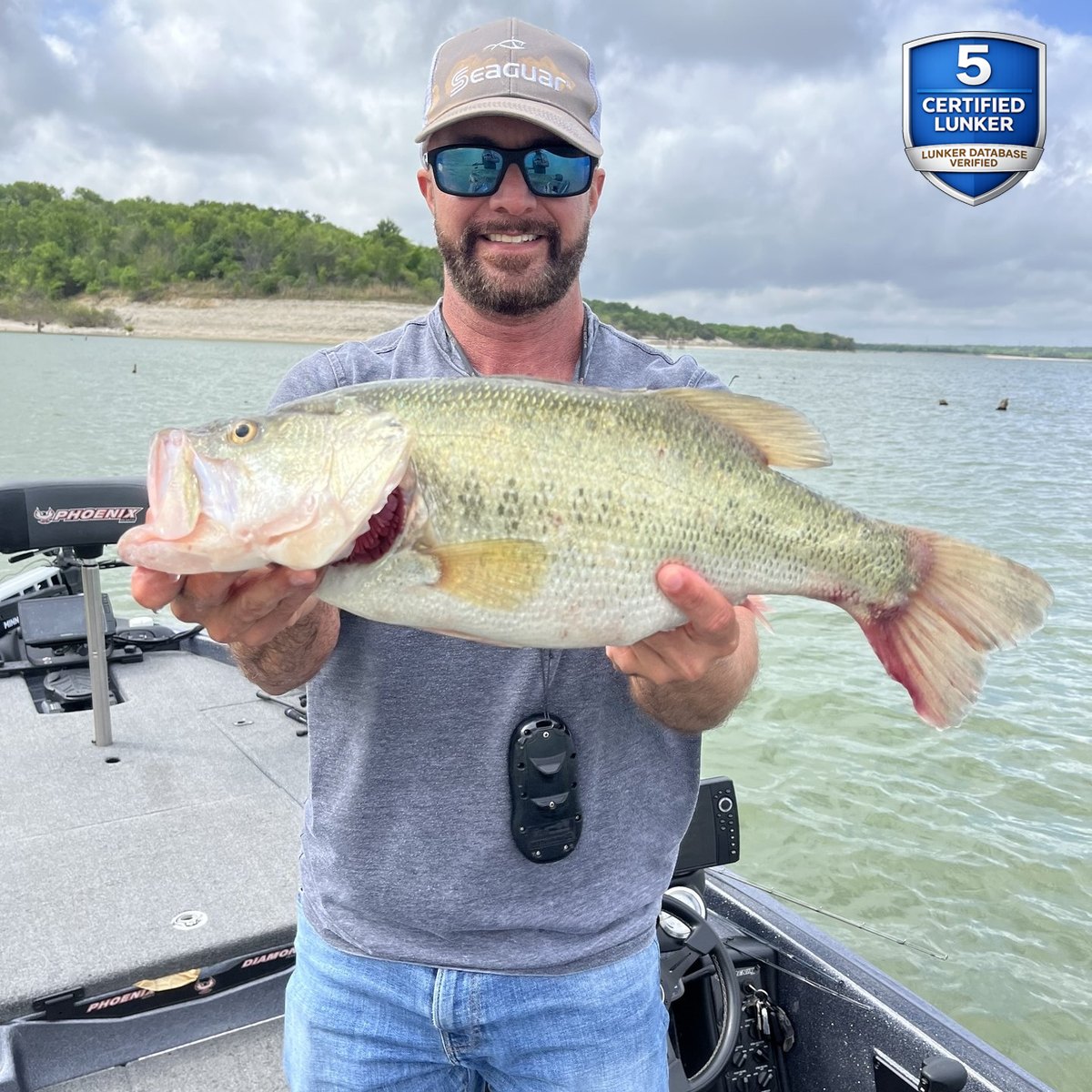 Largemouth Bass — 5 lbs 14 oz