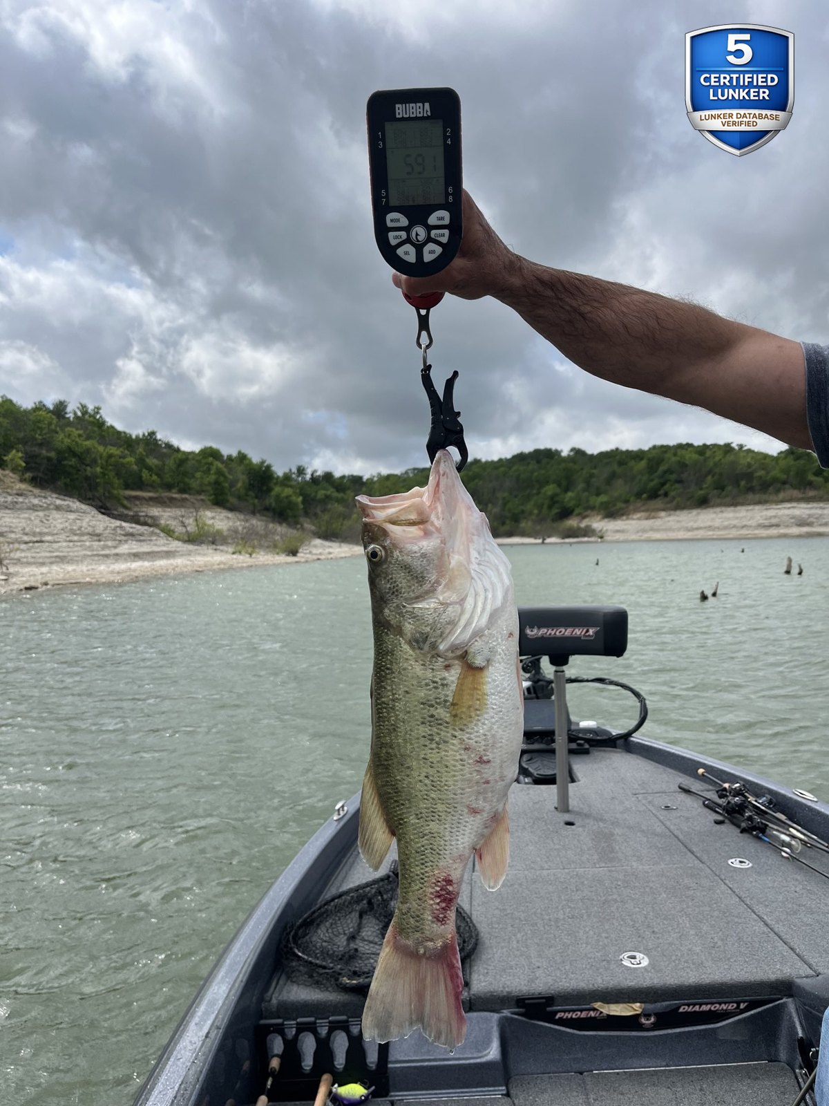 Largemouth Bass catch photo 2