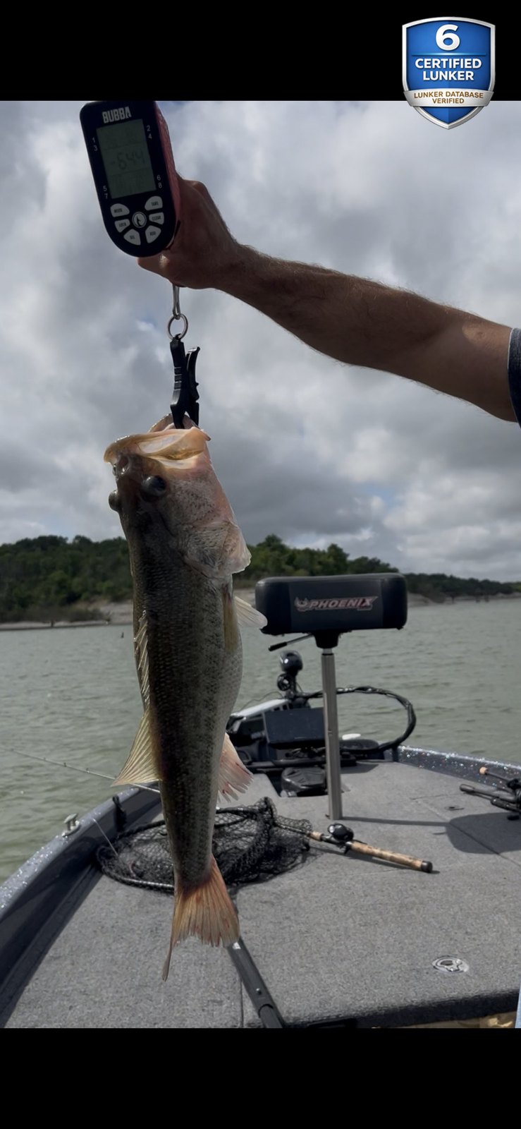 Largemouth Bass catch photo 2