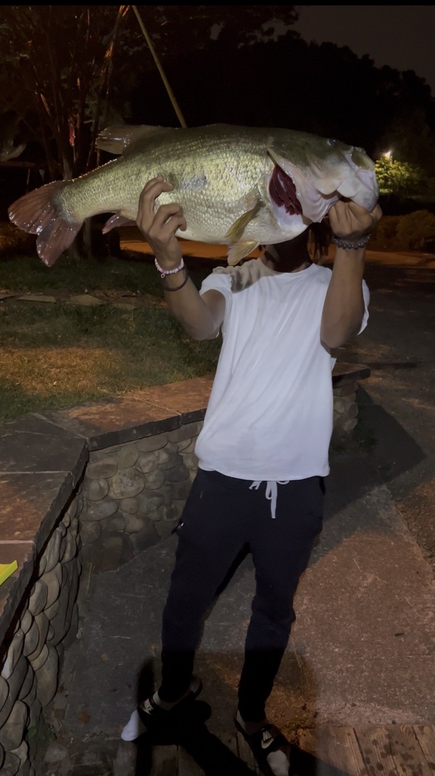 Largemouth Bass catch photo 1