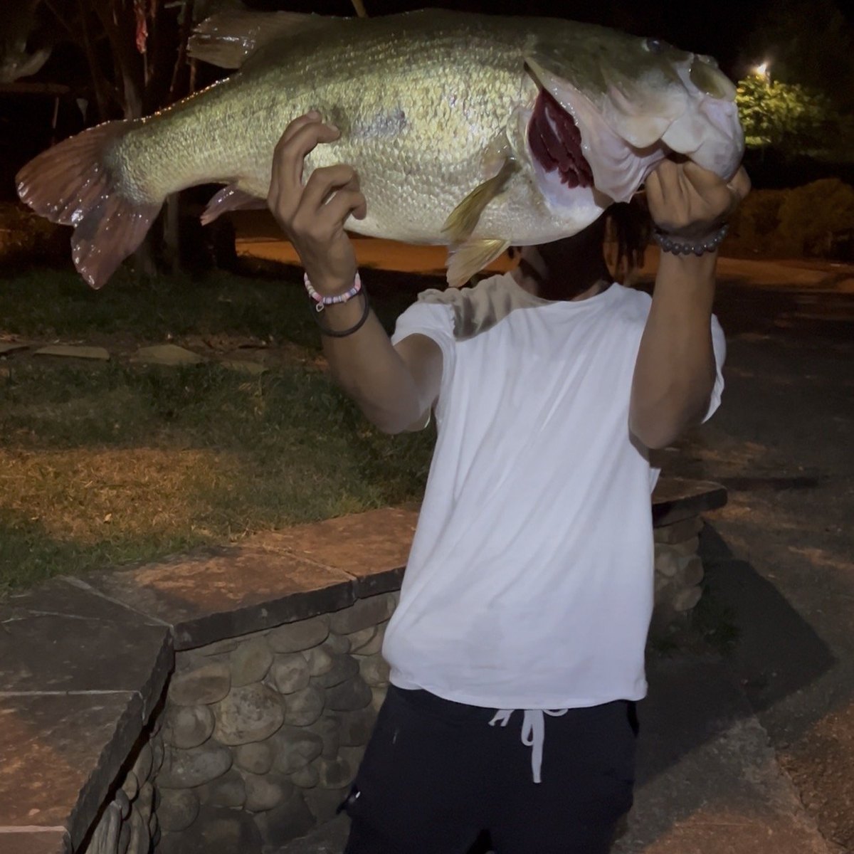 Largemouth Bass — 12 lbs 4 oz